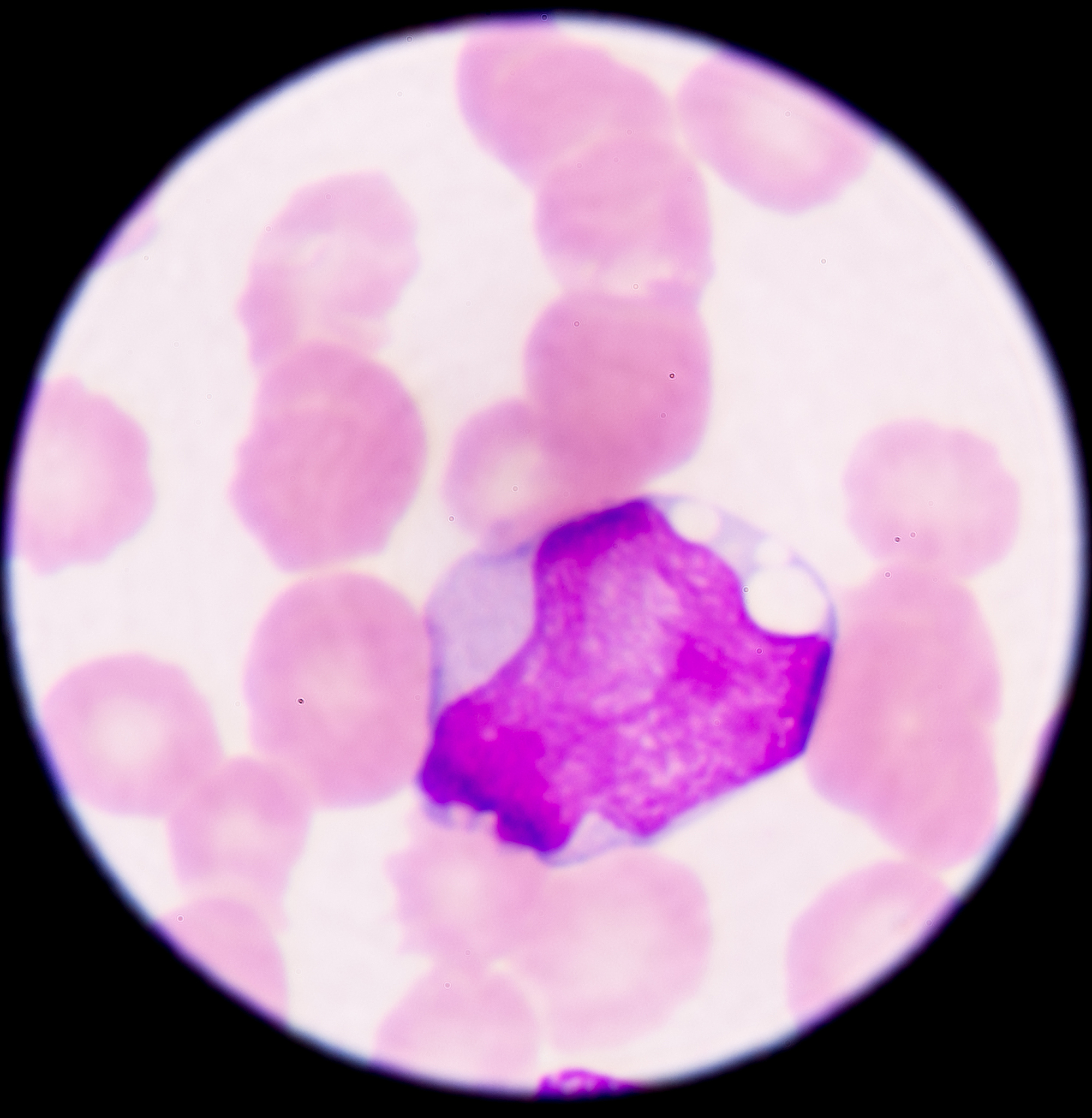 质性访谈中受访者是研究项目中的参与者而不是待考察的对象对吗