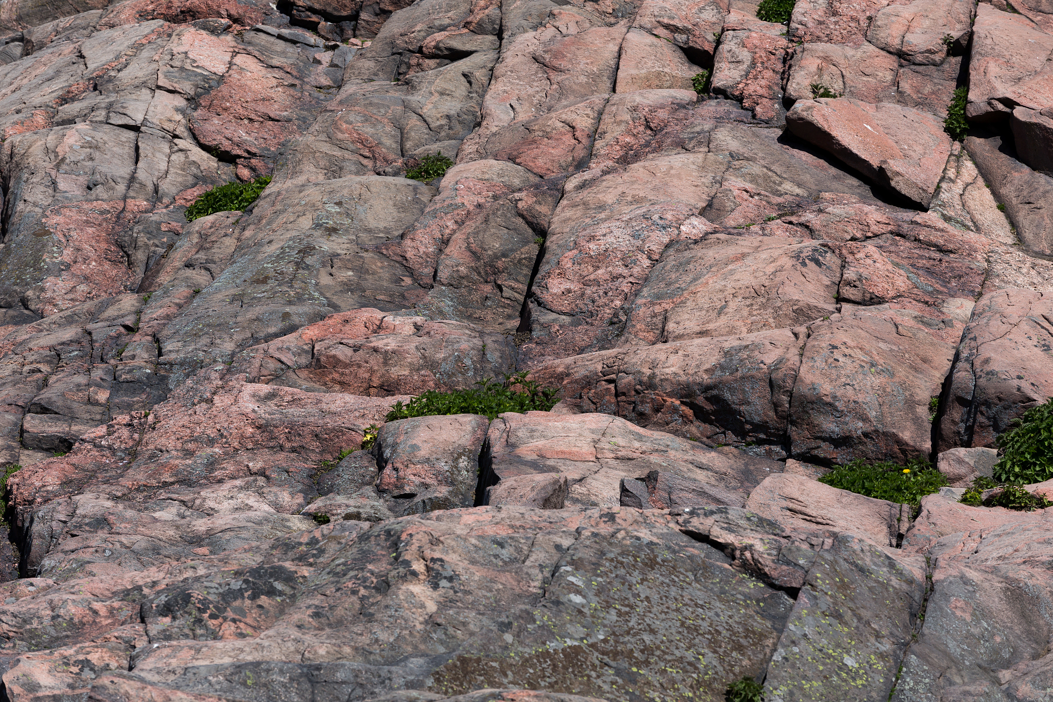 武夷山为什么土壤是酸性的