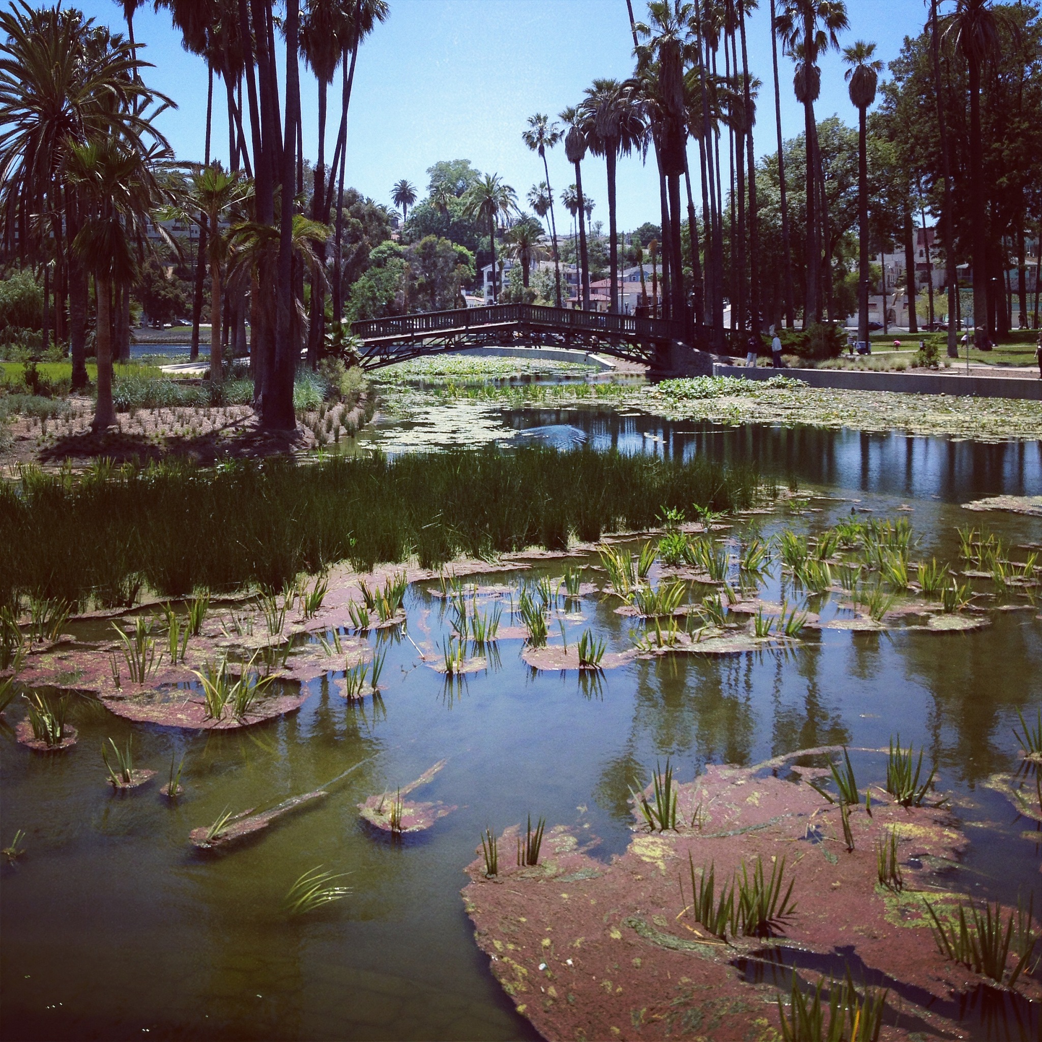 东莞有什么公园