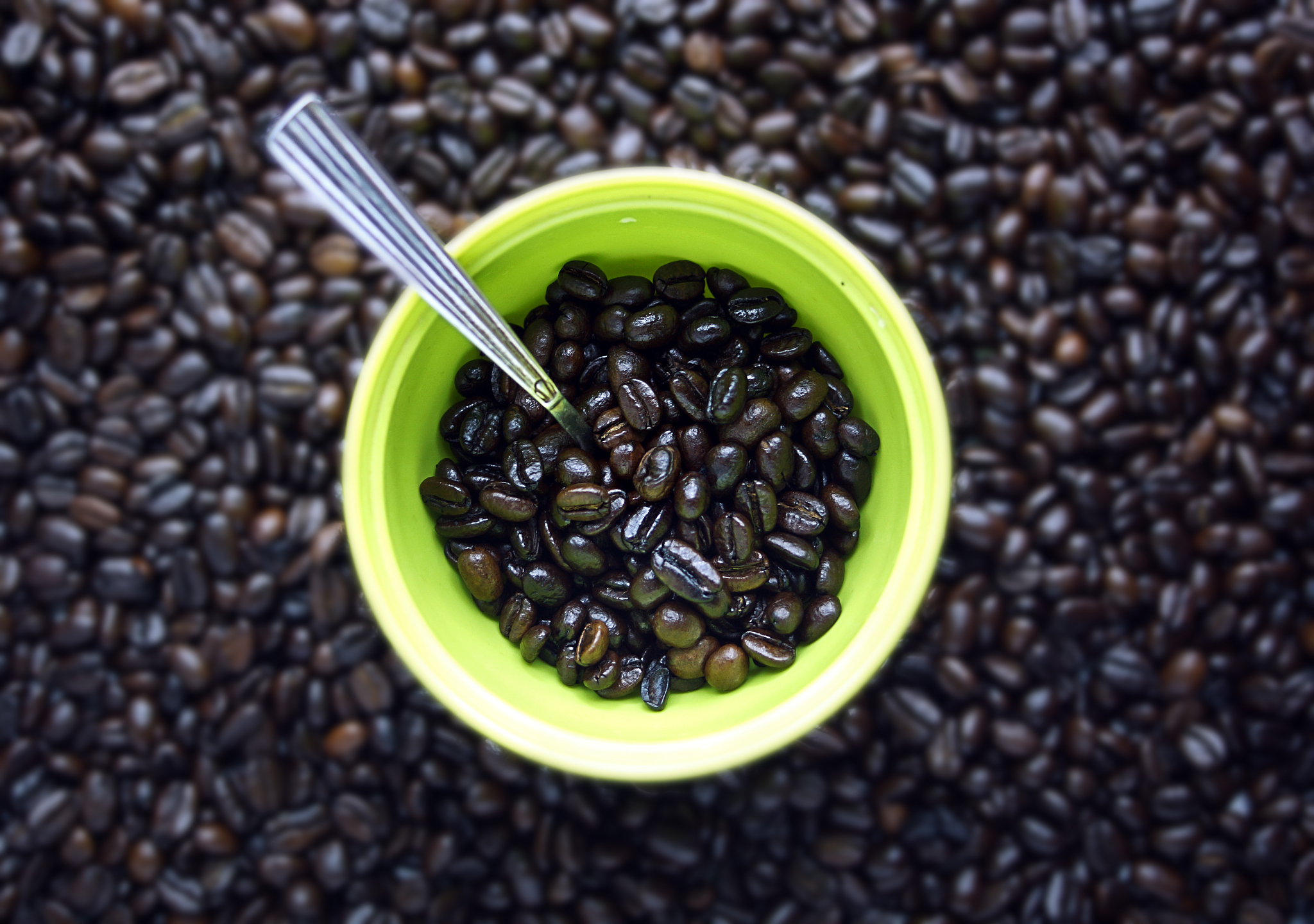 黑豆核桃豆浆的做法_黑豆核桃豆浆怎么做