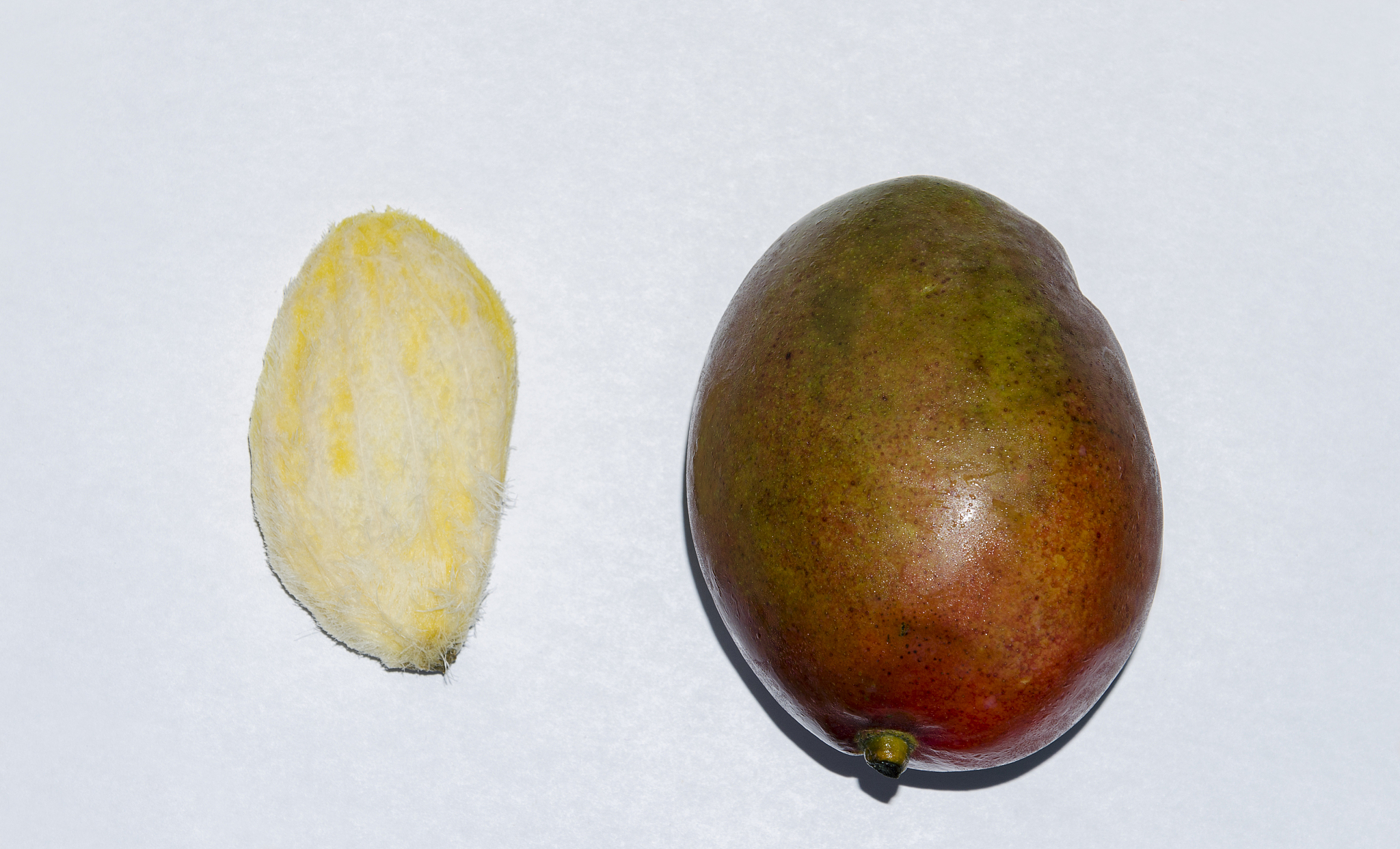 芒果裂开的原因：熟透的标志？