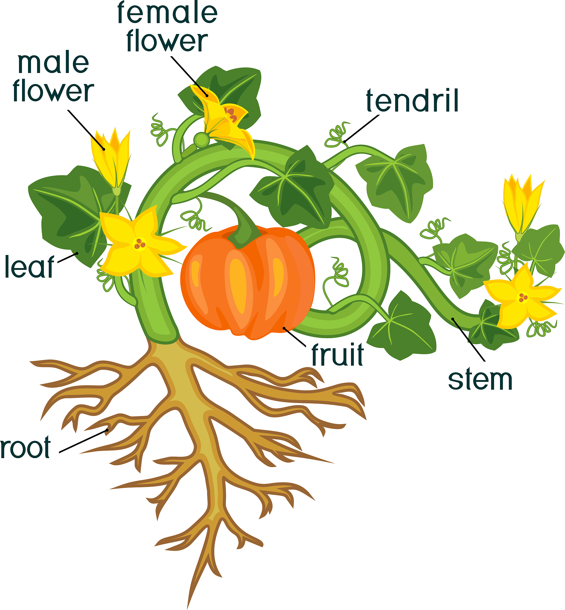 orgspringframeworkbeansfactoryUnsatisfiedDependencyException Error creating bean with name energyPush Unsatisfied dependency expressed through field remoteDataService; nested exception is orgspringfra