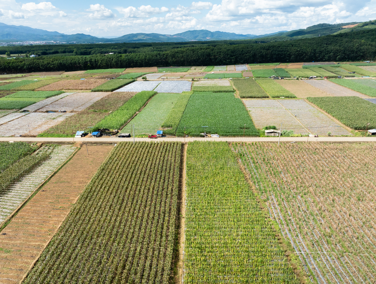 重庆高标准农田改造补贴：果树、经济苗木种植有补贴