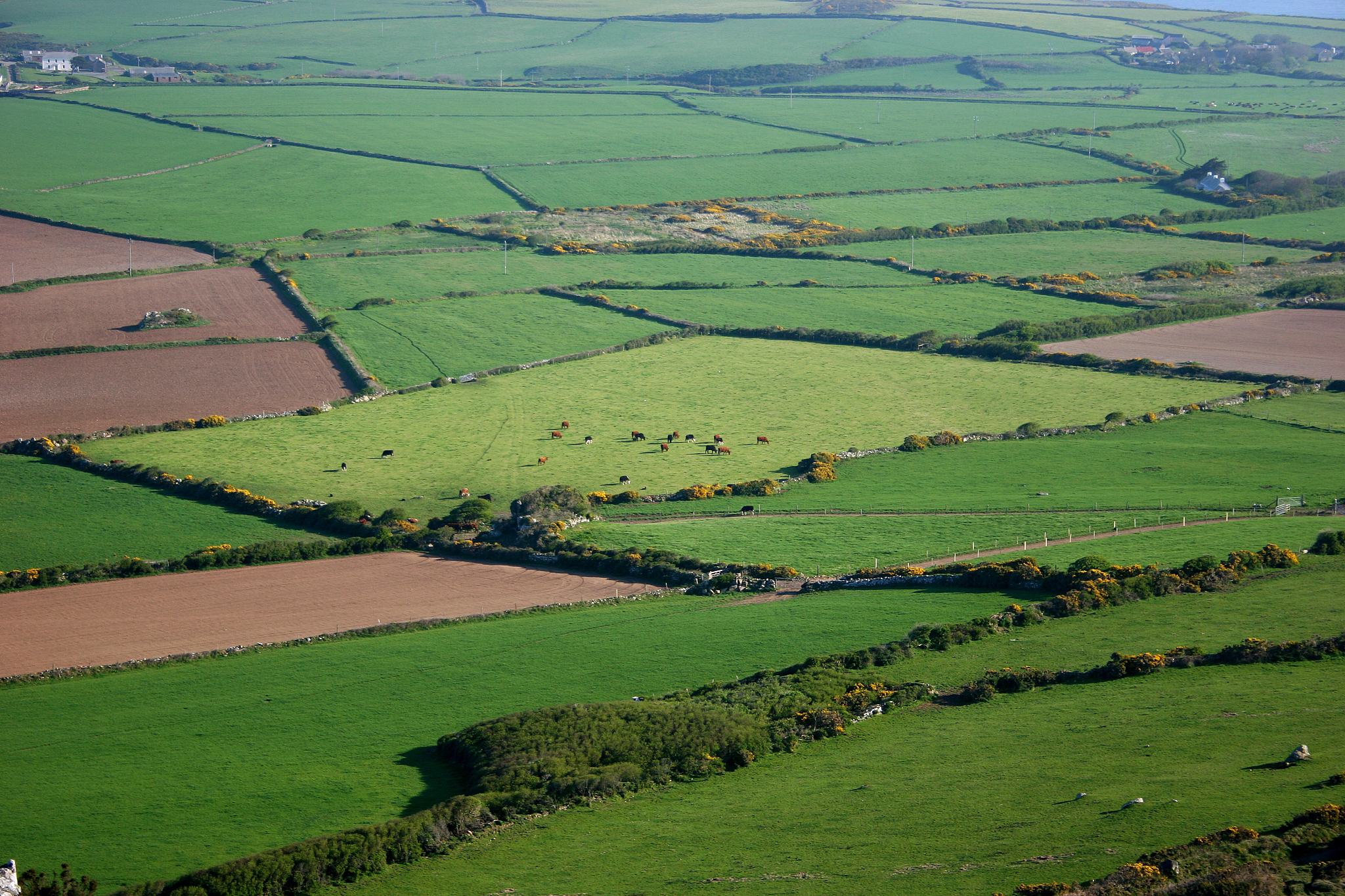 welsh field patterns