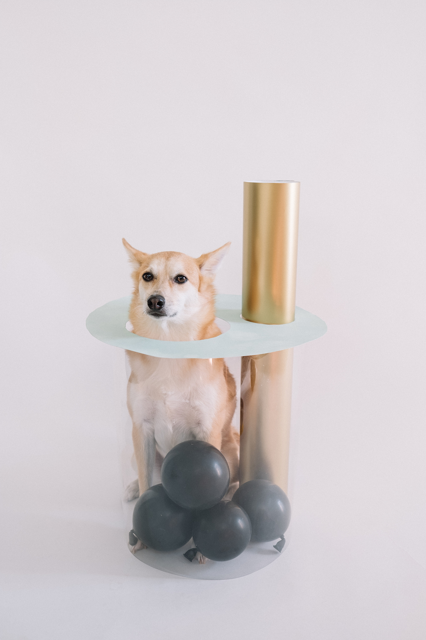 奶茶制作指南：在家轻松调制美味奶茶