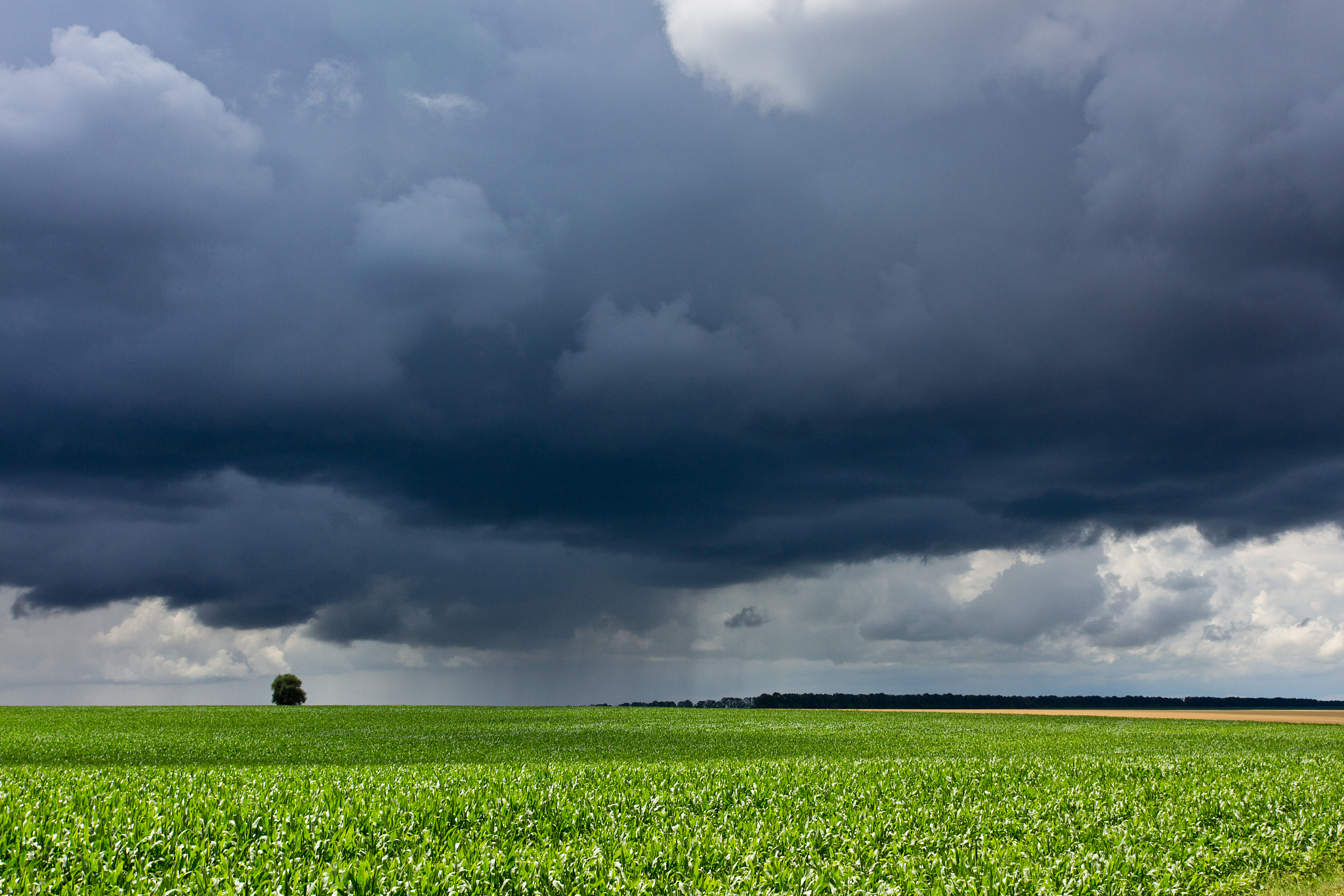 阵雨的情景是什么样子的