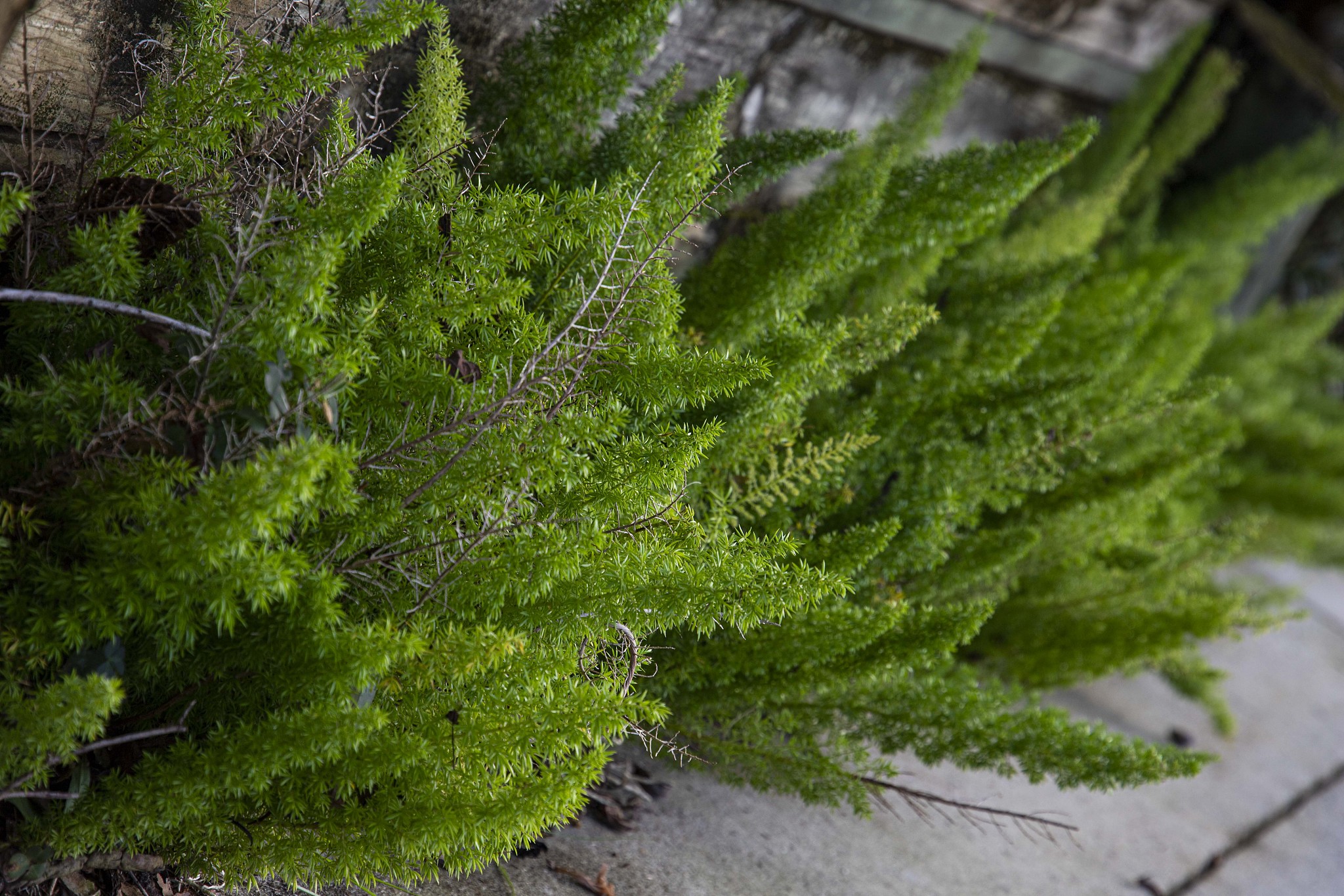 青岛交通职业学校2023年3+2招生简章