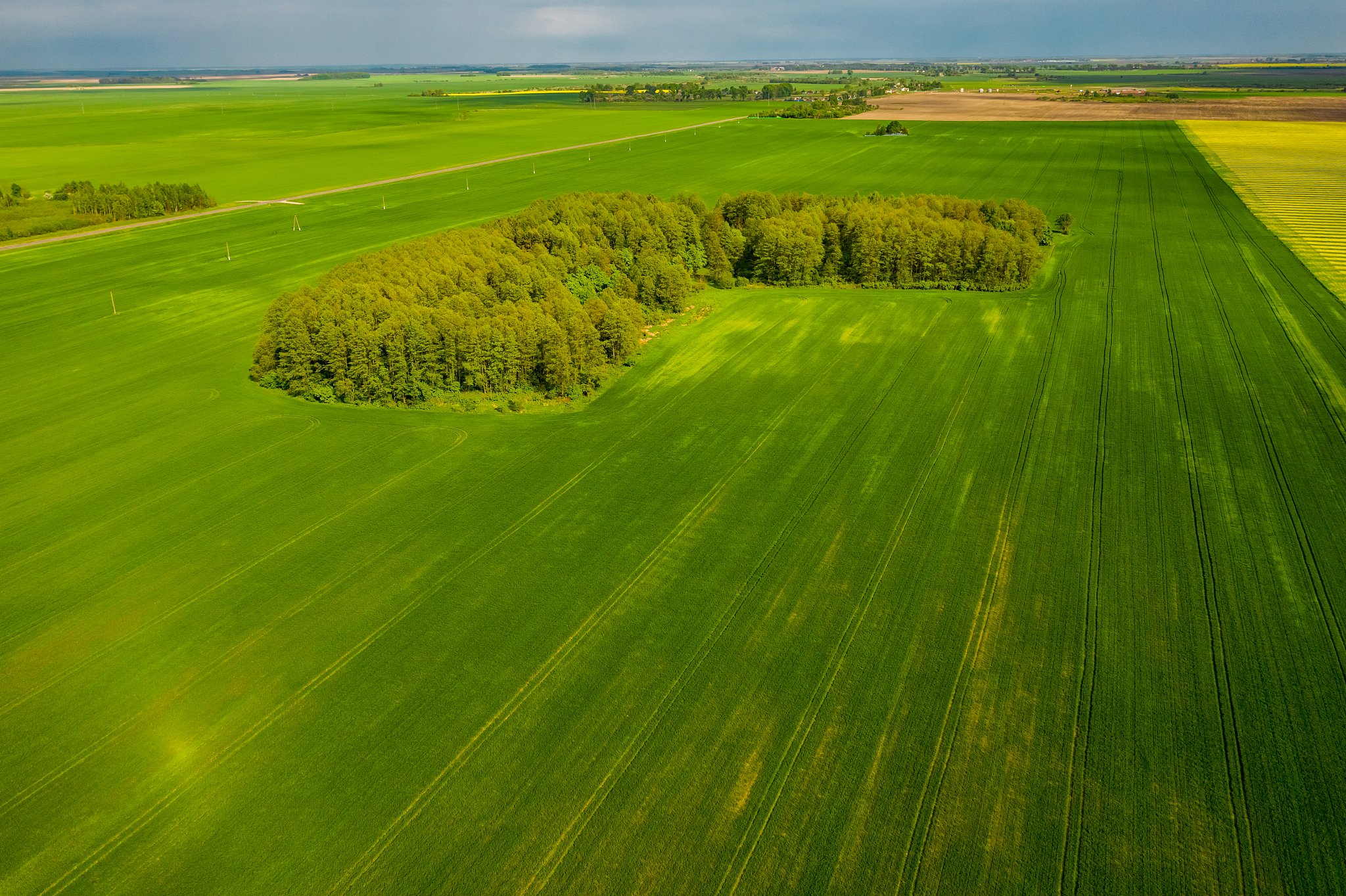 nature of belarus aerial view