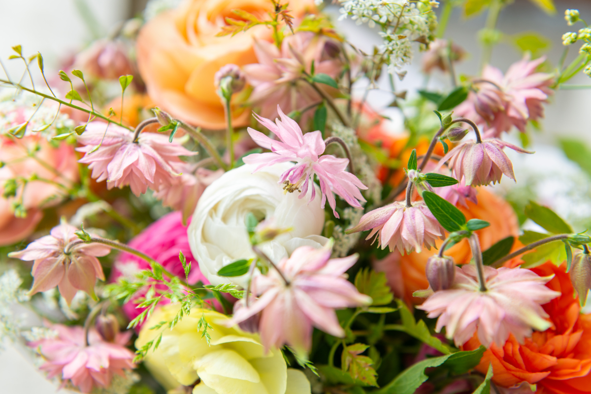 花朵的比喻：300字解读人生、爱情、友谊与美好