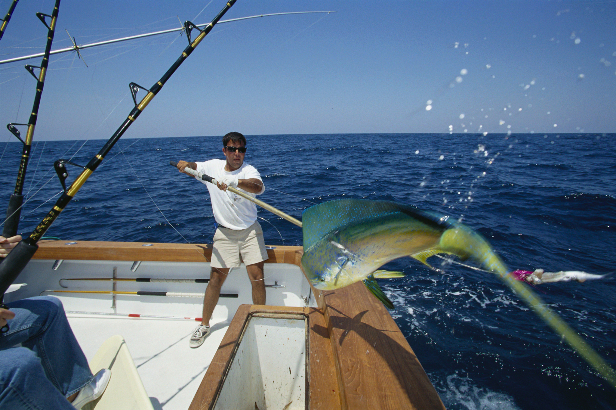Experiencing the Ocean's Bounty: A Day Fishing with Family