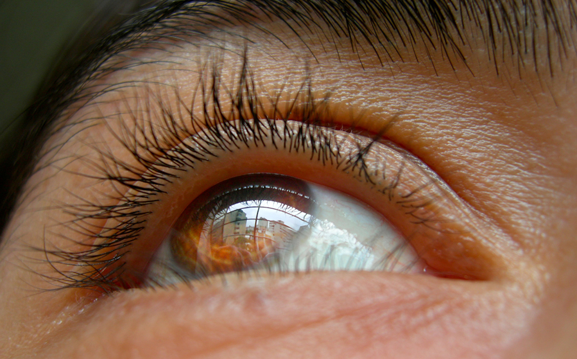 eyes that see