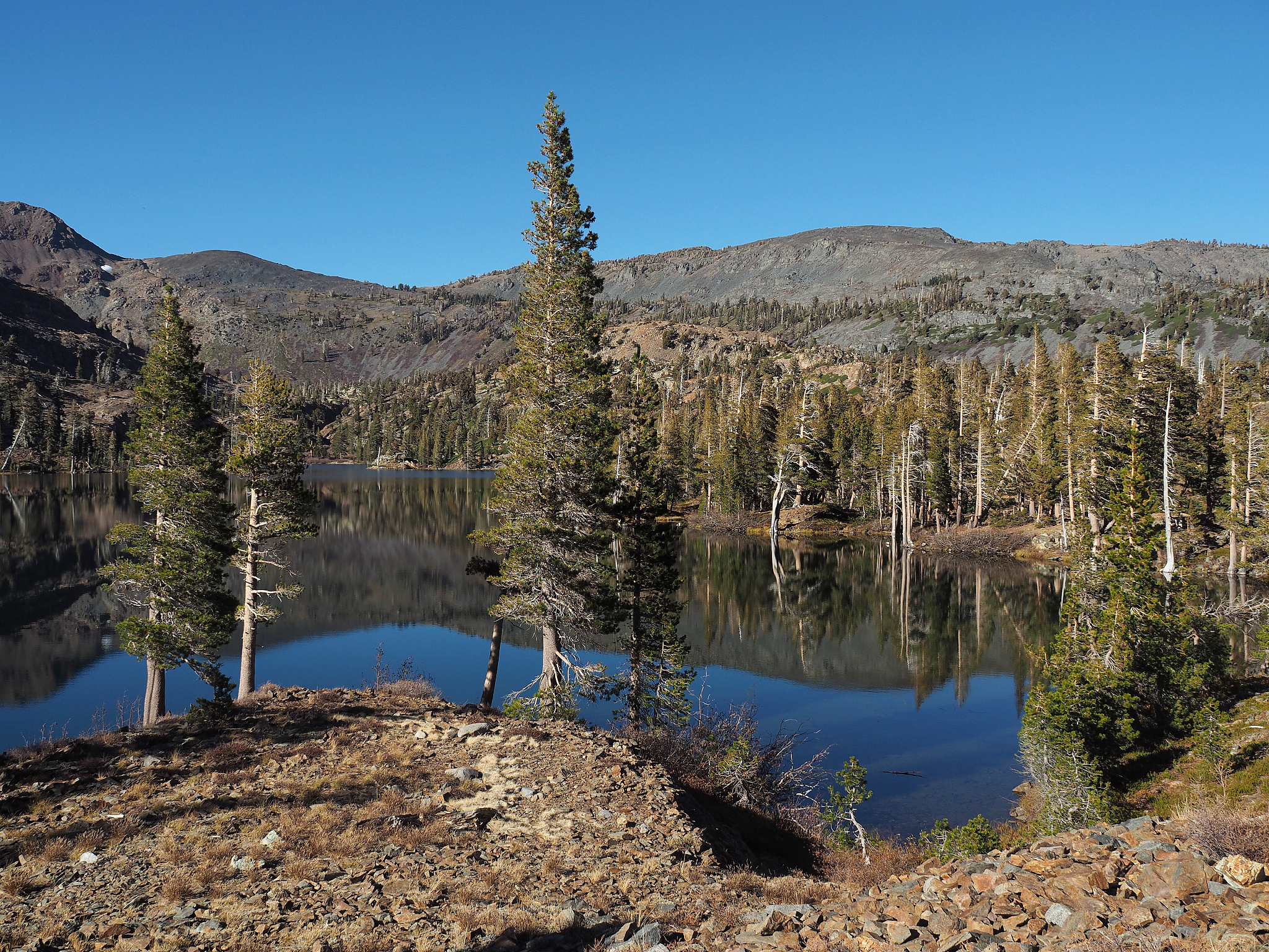 美国国家公园景观资源保护管理研究：深入分析威胁与对策