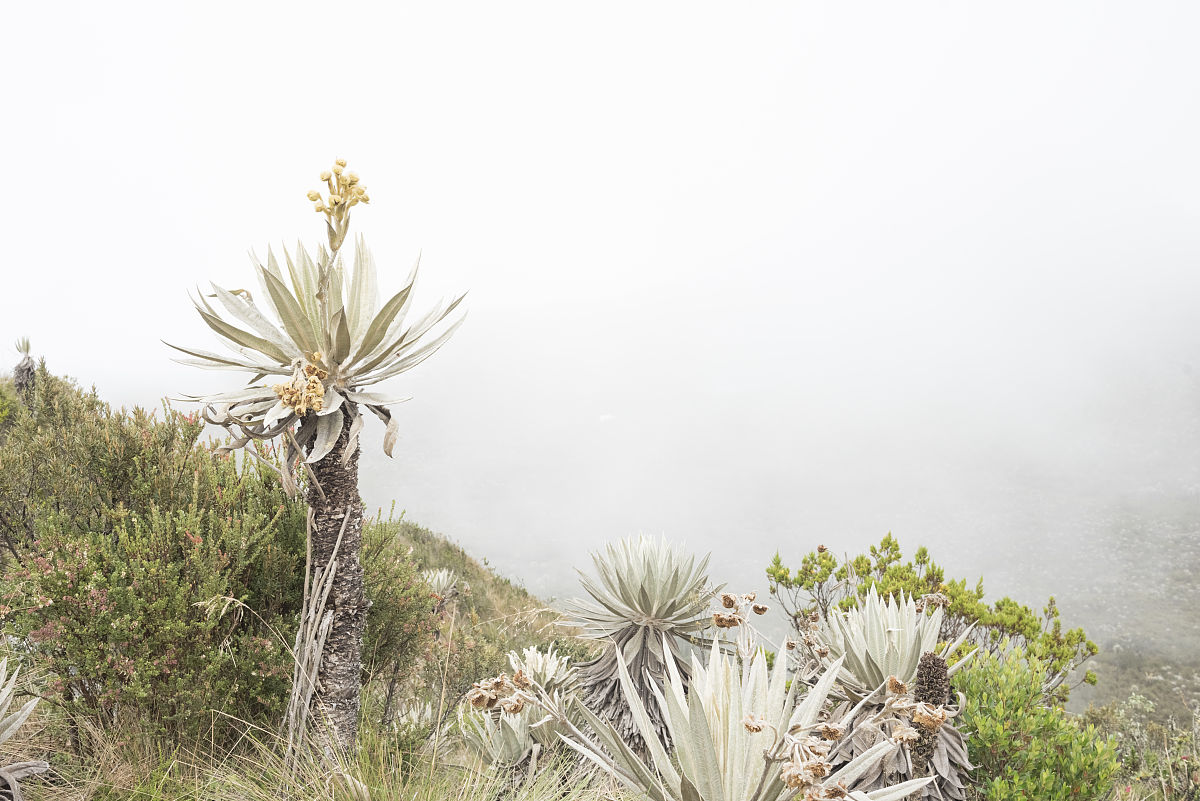 简述生态监测的概念和基本方法。