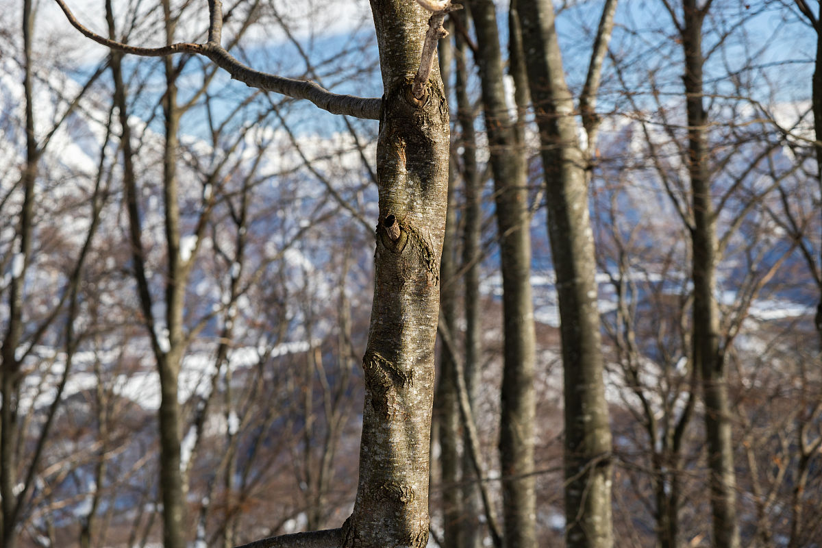 遂宁市电力工程职业技术学校专业设置 - 电气自动化技术专业详解