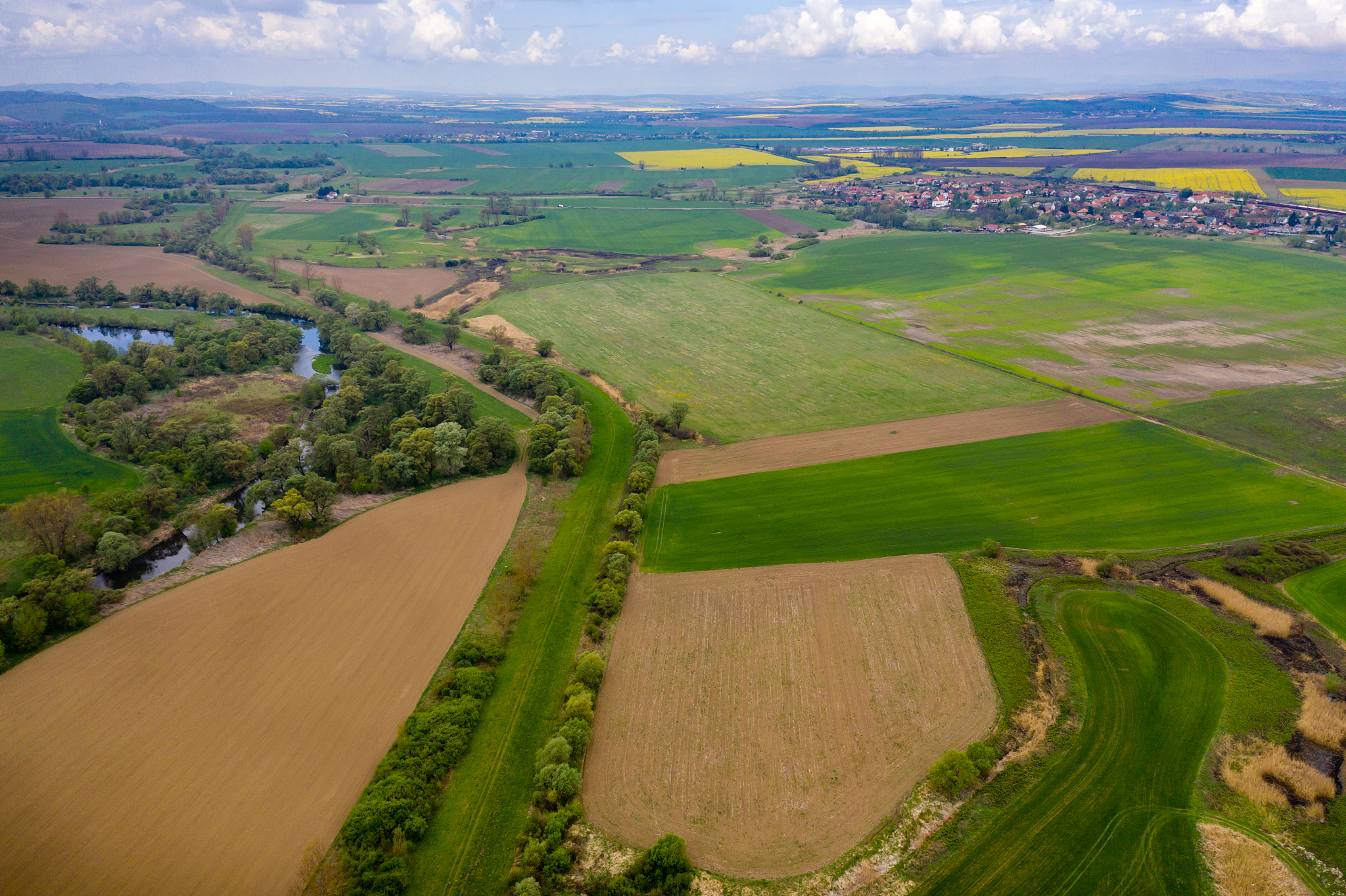 agriculture land drone view
