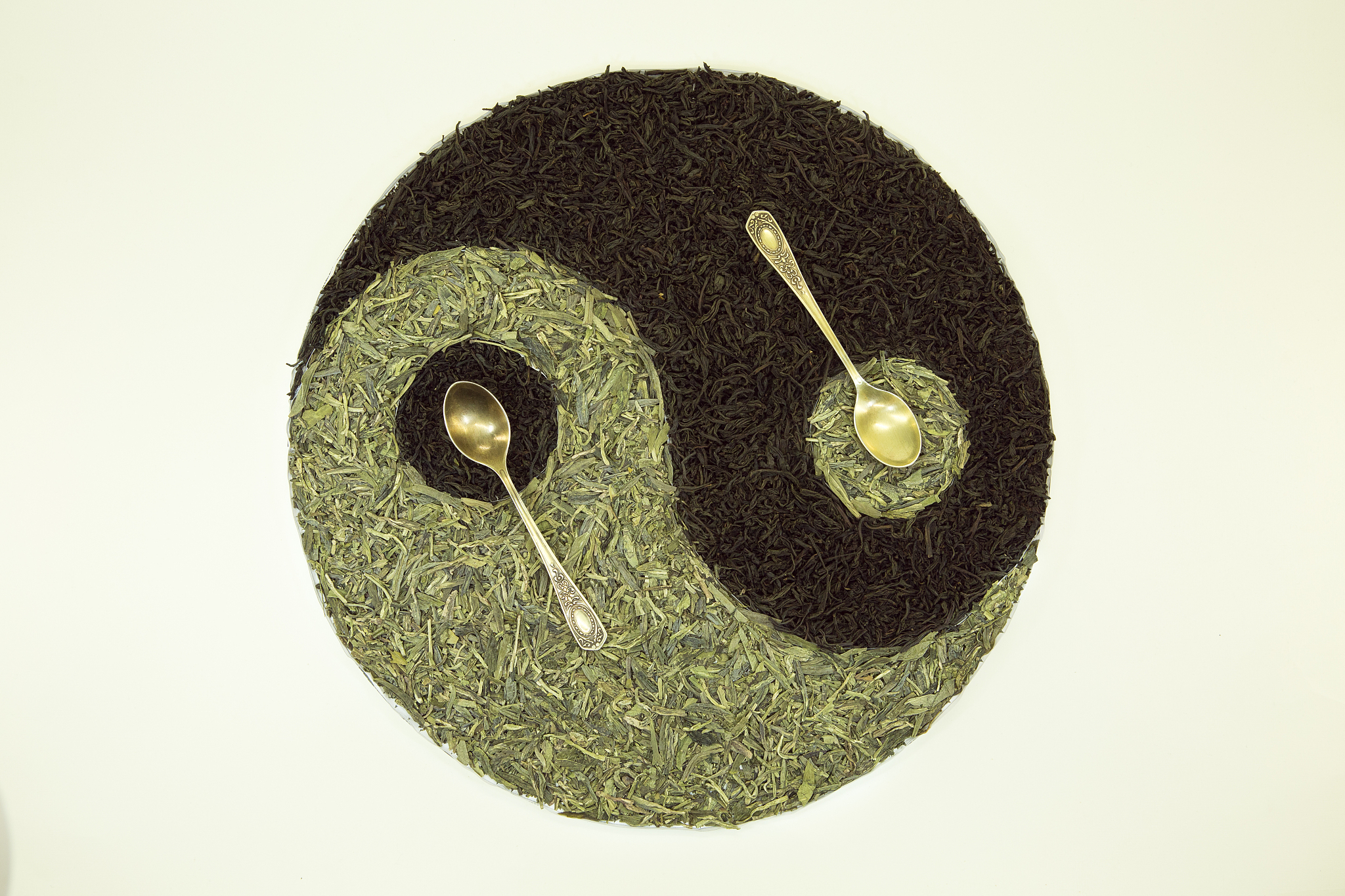 道法自然：中国古代哲学对生物演化和艺术创作的影响