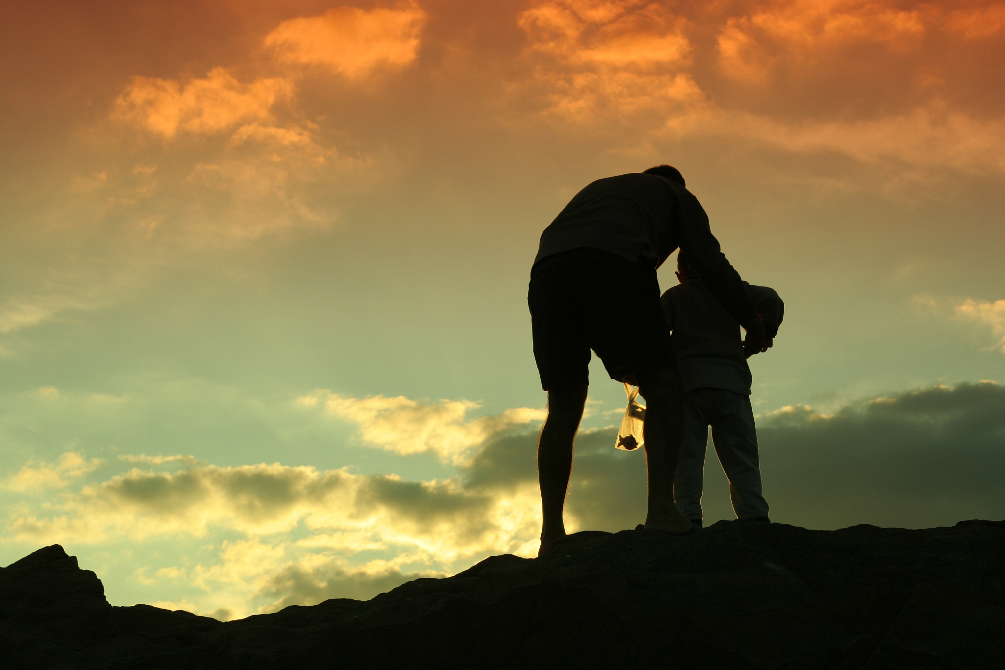 偶然的机遇在课文中具体指