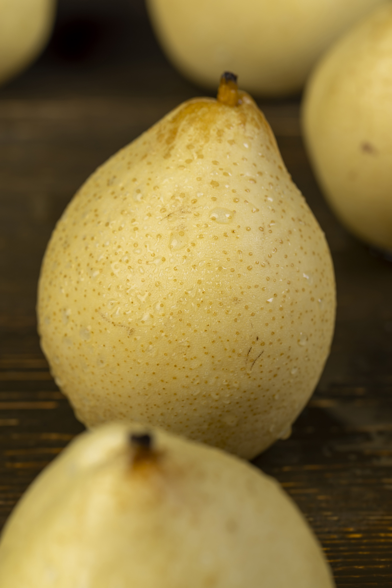 梨如何保存 梨的保存方法