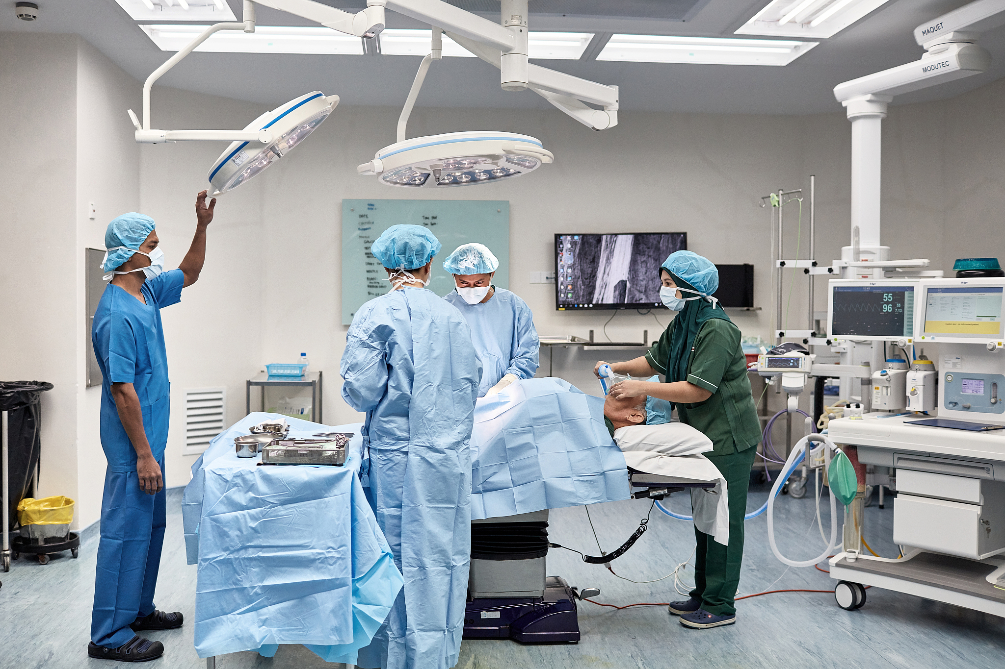 见习期工作总结