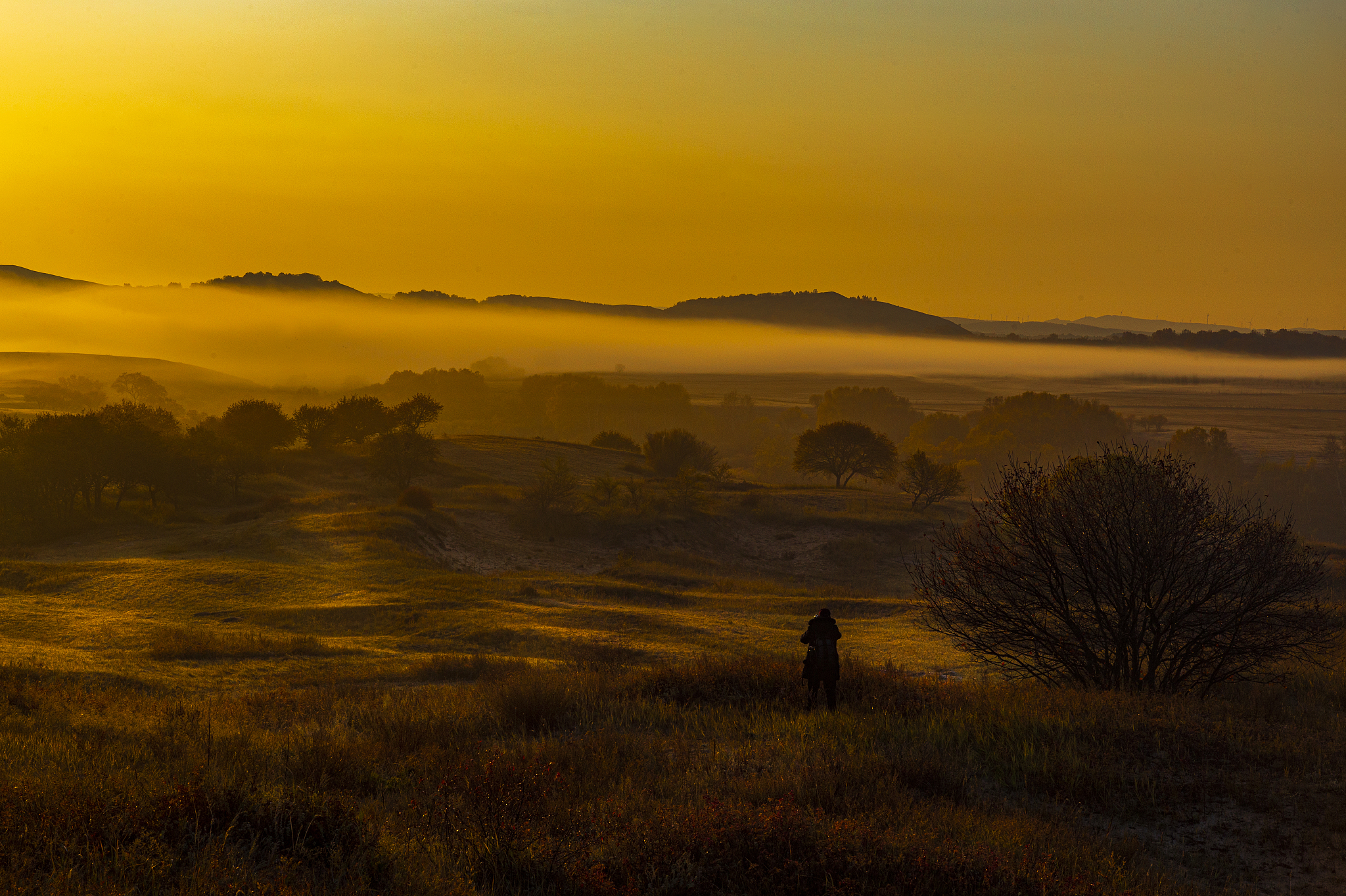 思乡：人类共同的情感纽带