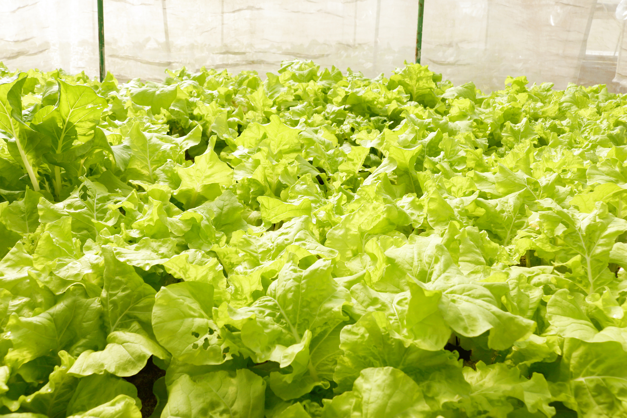 广西玉林农业学校制冷和空调设备运用与维修专业怎么样？课程设置及就业前景