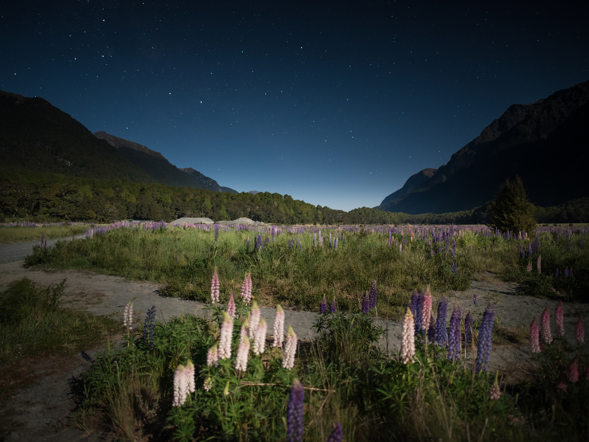 床前明月光疑是地上霜。 举头望明月低头思故乡。你能联想到什么样的画面用20个英语词语详细的描述一下