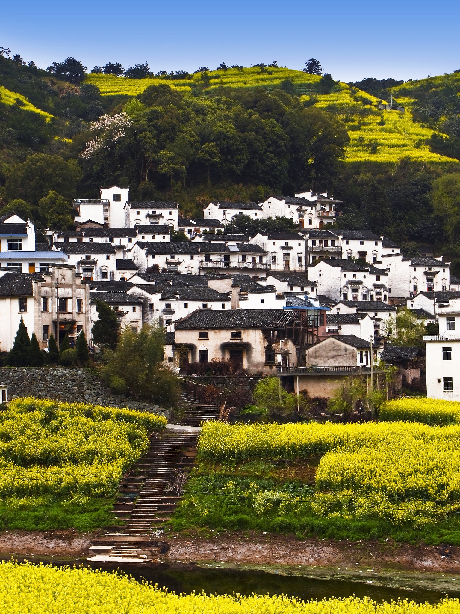 如何理解科学技术文化与人文文化之间的冲突与协调从自然辩证法的角度 5000字