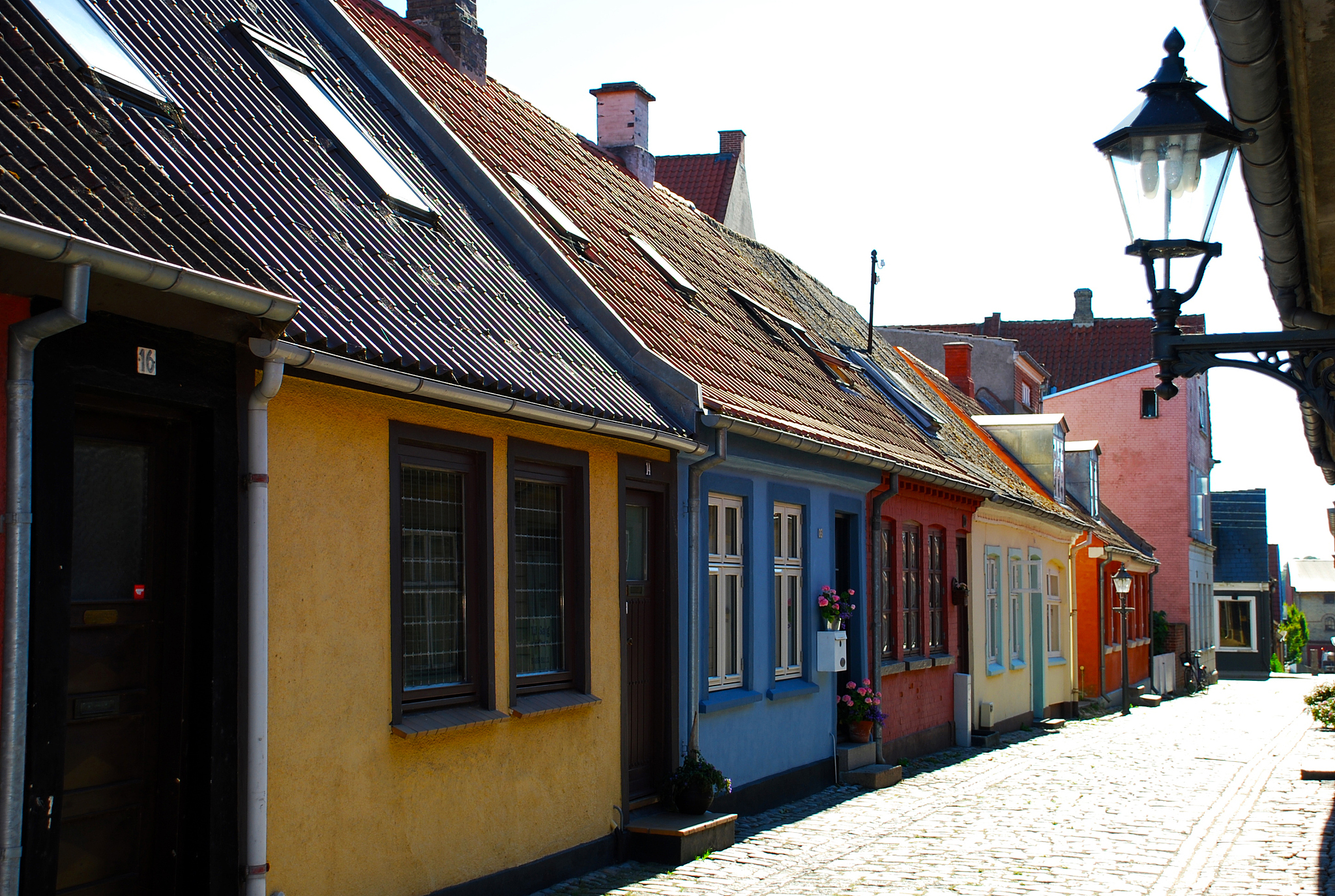 食品酶工程在动物营养工业中的应用：现状、问题与展望