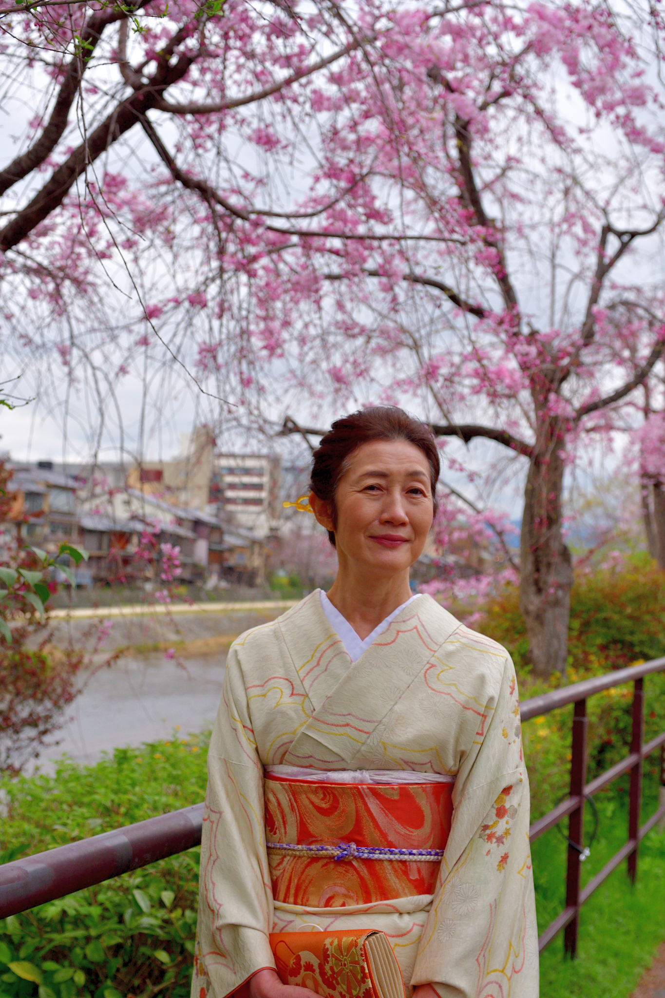 japanese woman in kimono enjoying cherry blossom along kamo rive