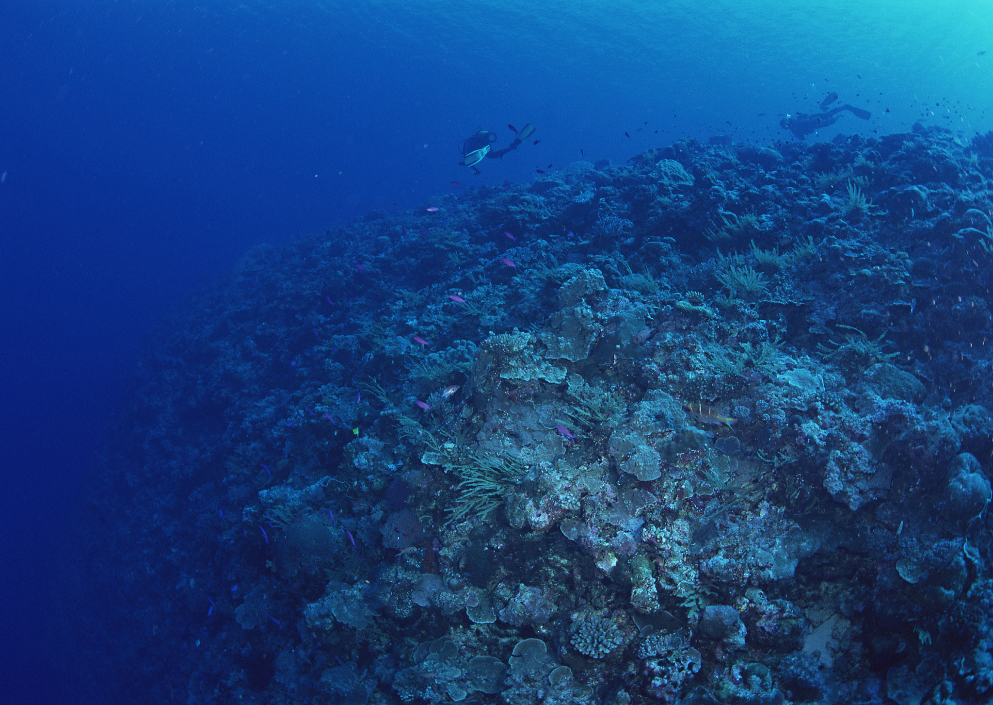 bottom of sea