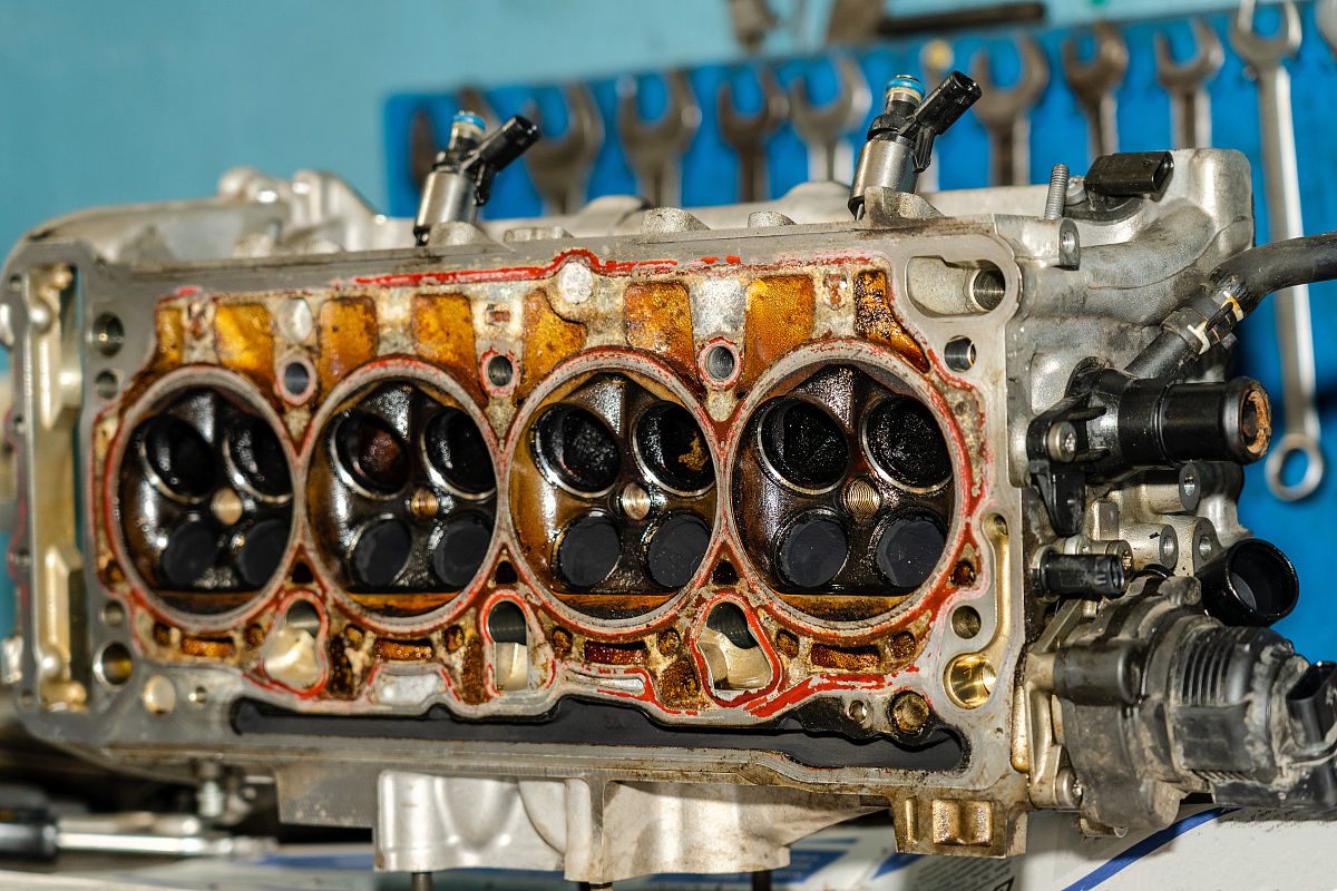 上海民远职业技术学院2023年单招专业解读 | 附热门专业