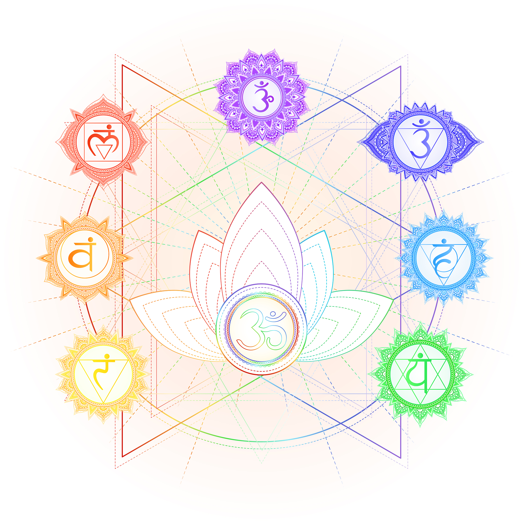 vector illustration of seven chakra symbols, om sign, sacred lot