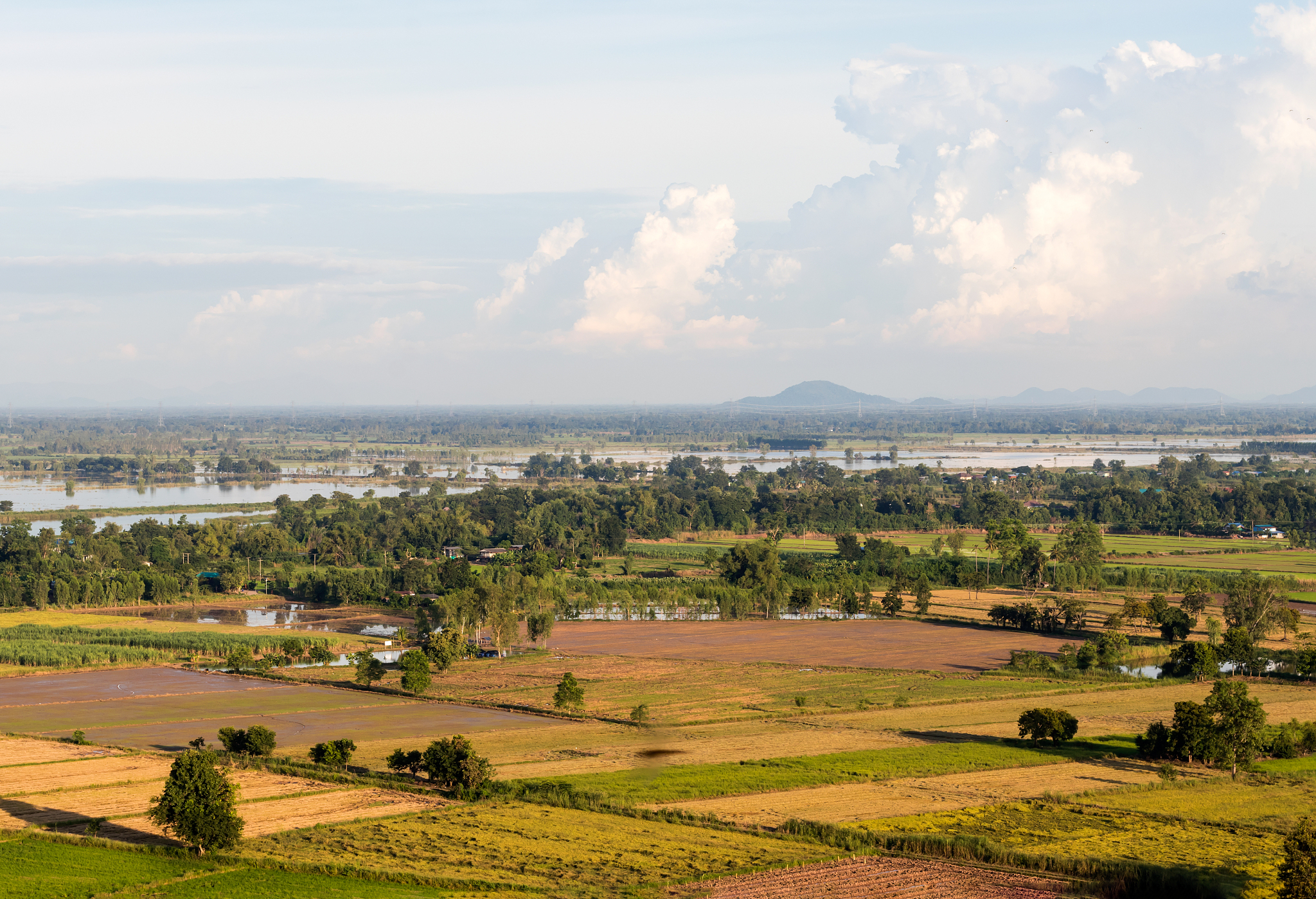 above rice fields in the thai countryside.