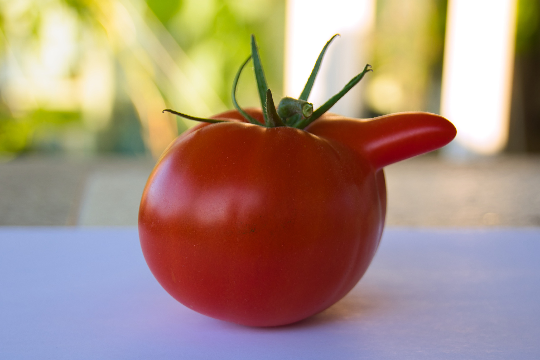 Funny Tomato Joke - Why Did the Tomato Turn Red?