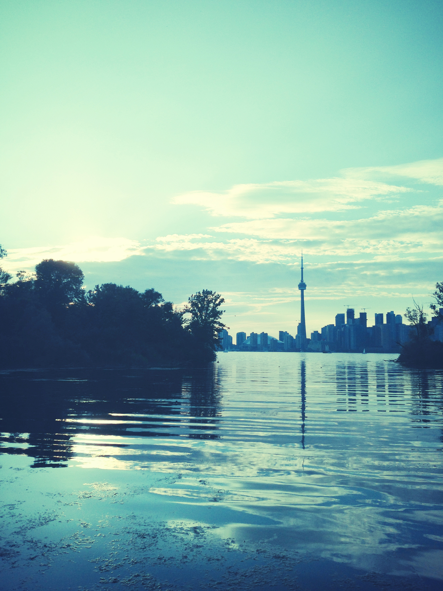 用1000字介绍一下人类文明