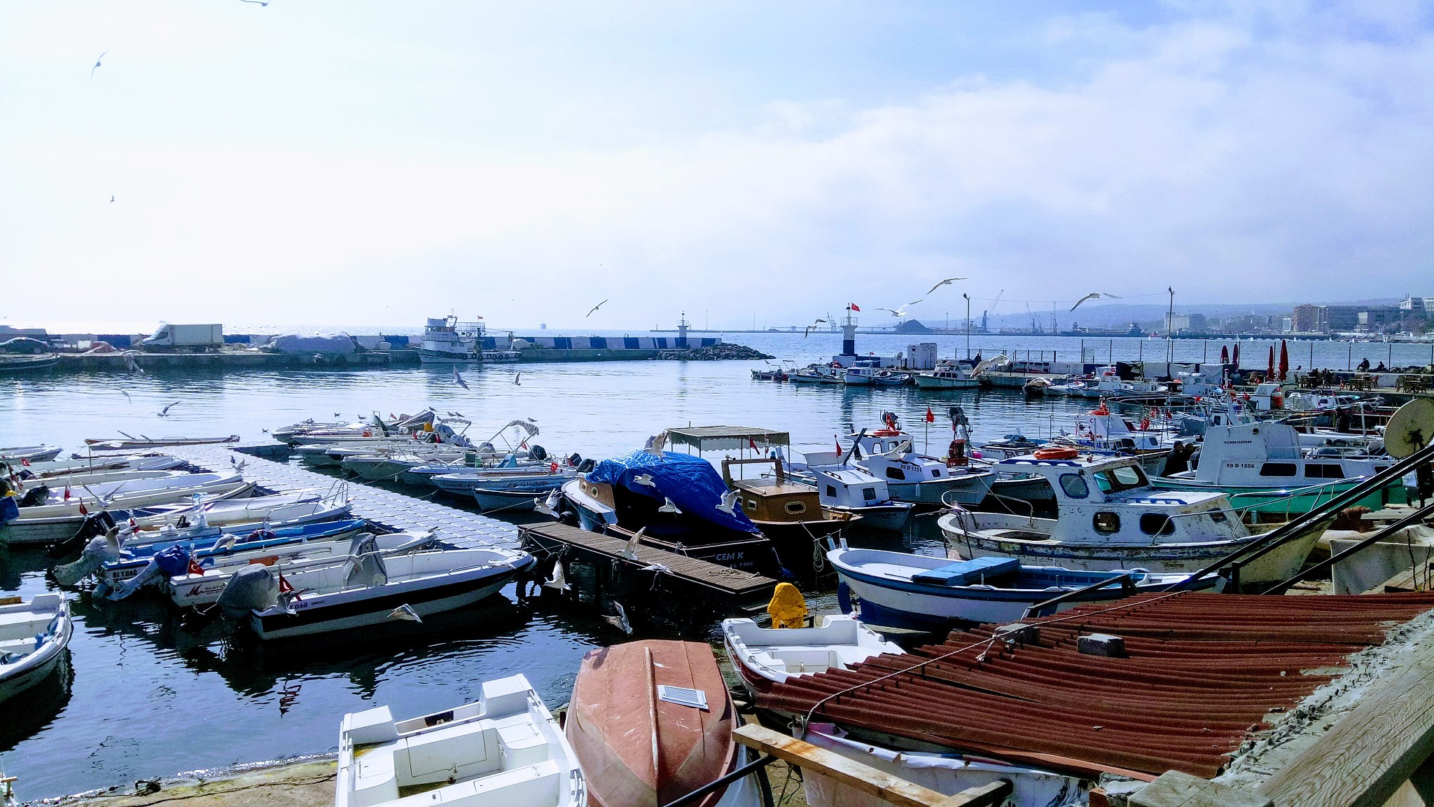 boats moored at harbor