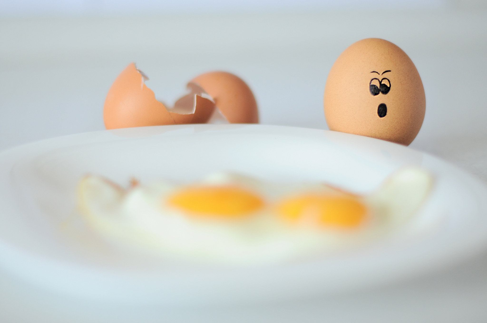 Still Life Photography Prompt Generator: Half Egg