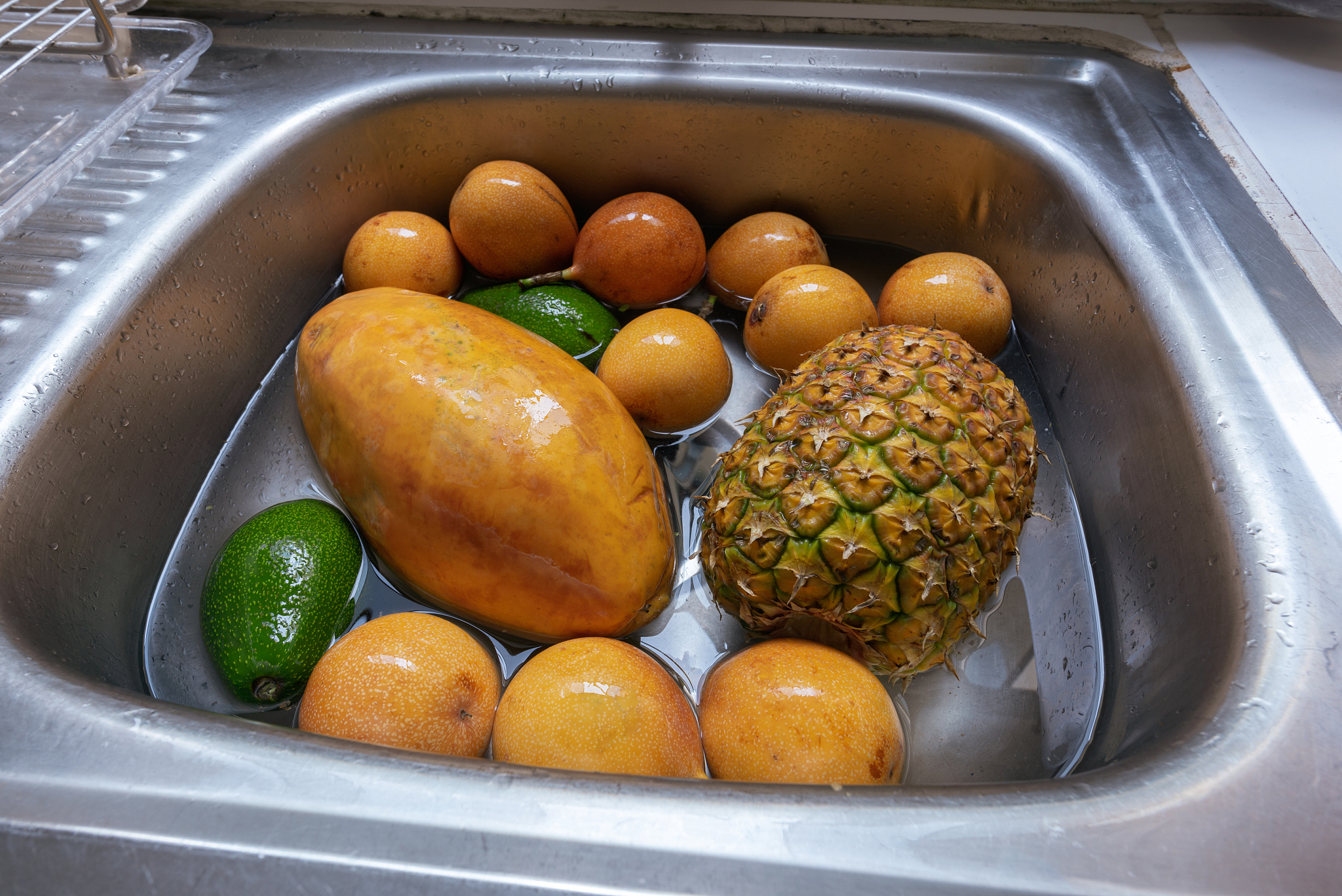 西南医科大学的食品卫生与营养学前景有哪些