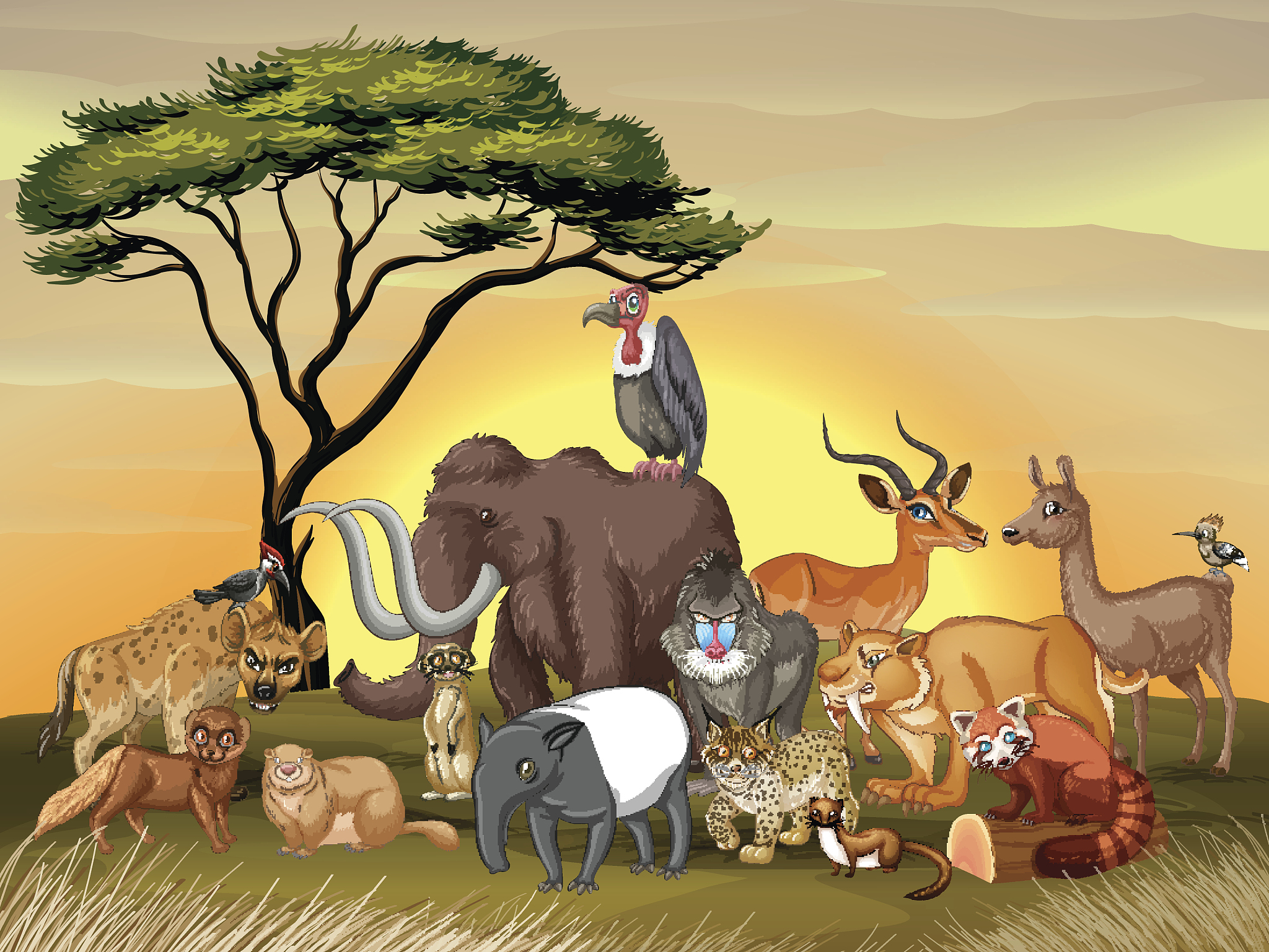 correct the sentence In China many large cities have zoos where you can see a wide range of wild animals Also you can travel to rural parts of the country or visit protected areas such as national par