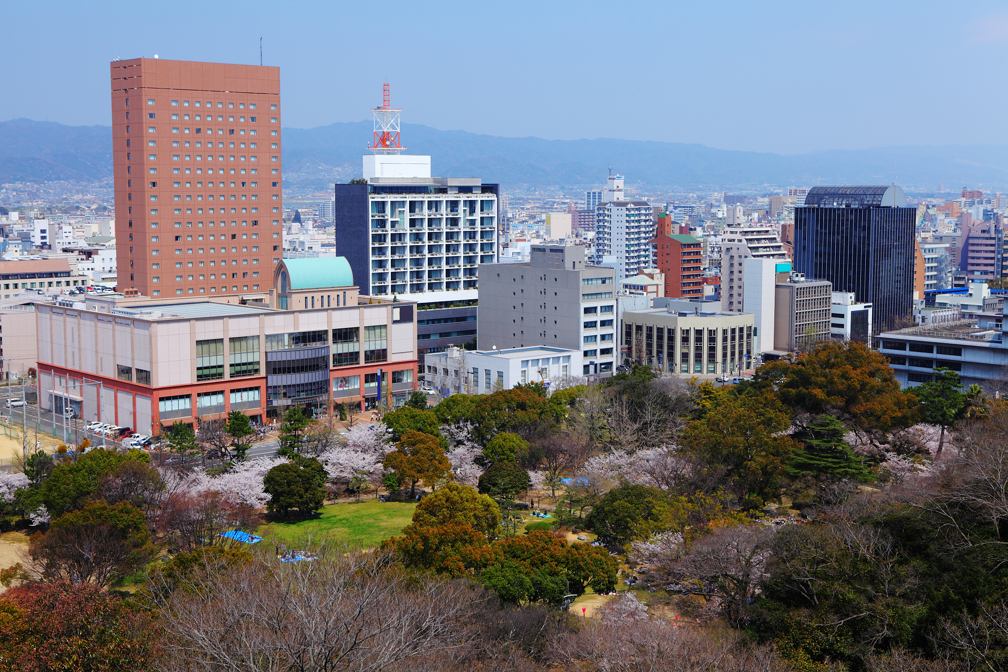 wakayama city in spring time