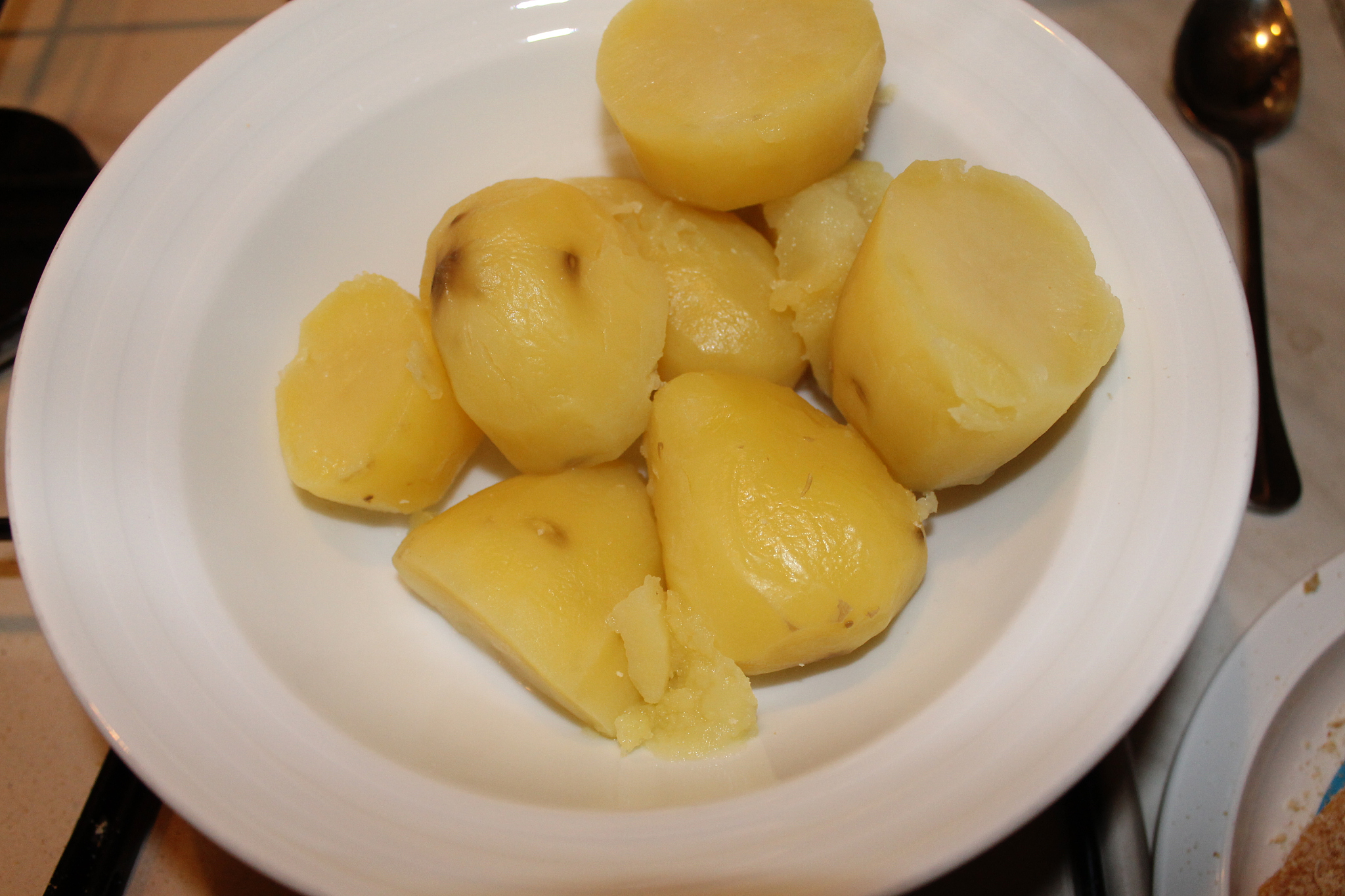 中餐烹饪与营养膳食五年制中高职一体化就业方向有哪些