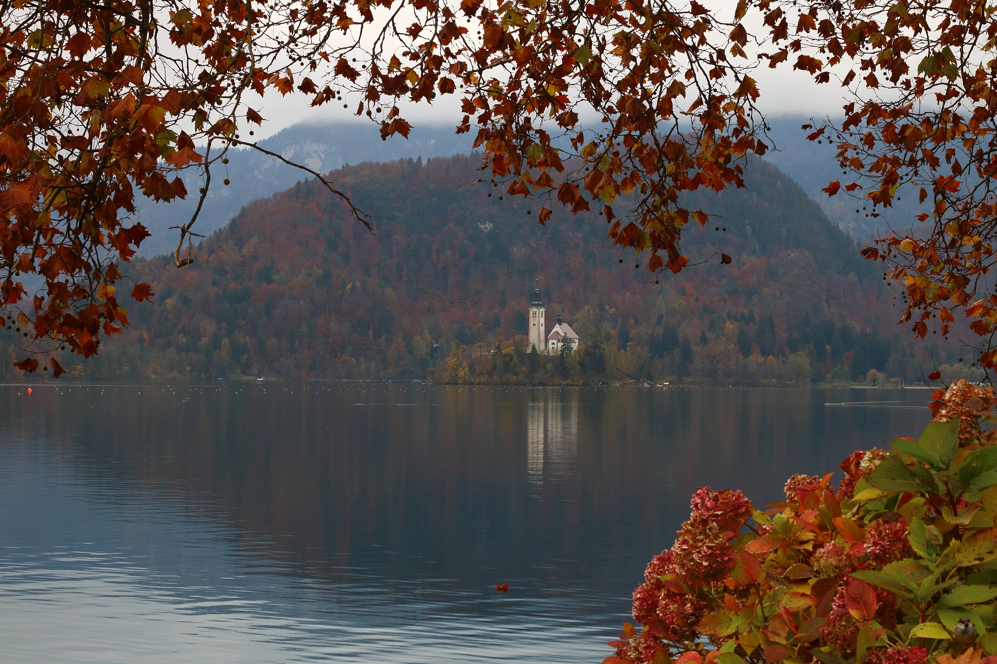 福鼎旅游学校2022年招生简章