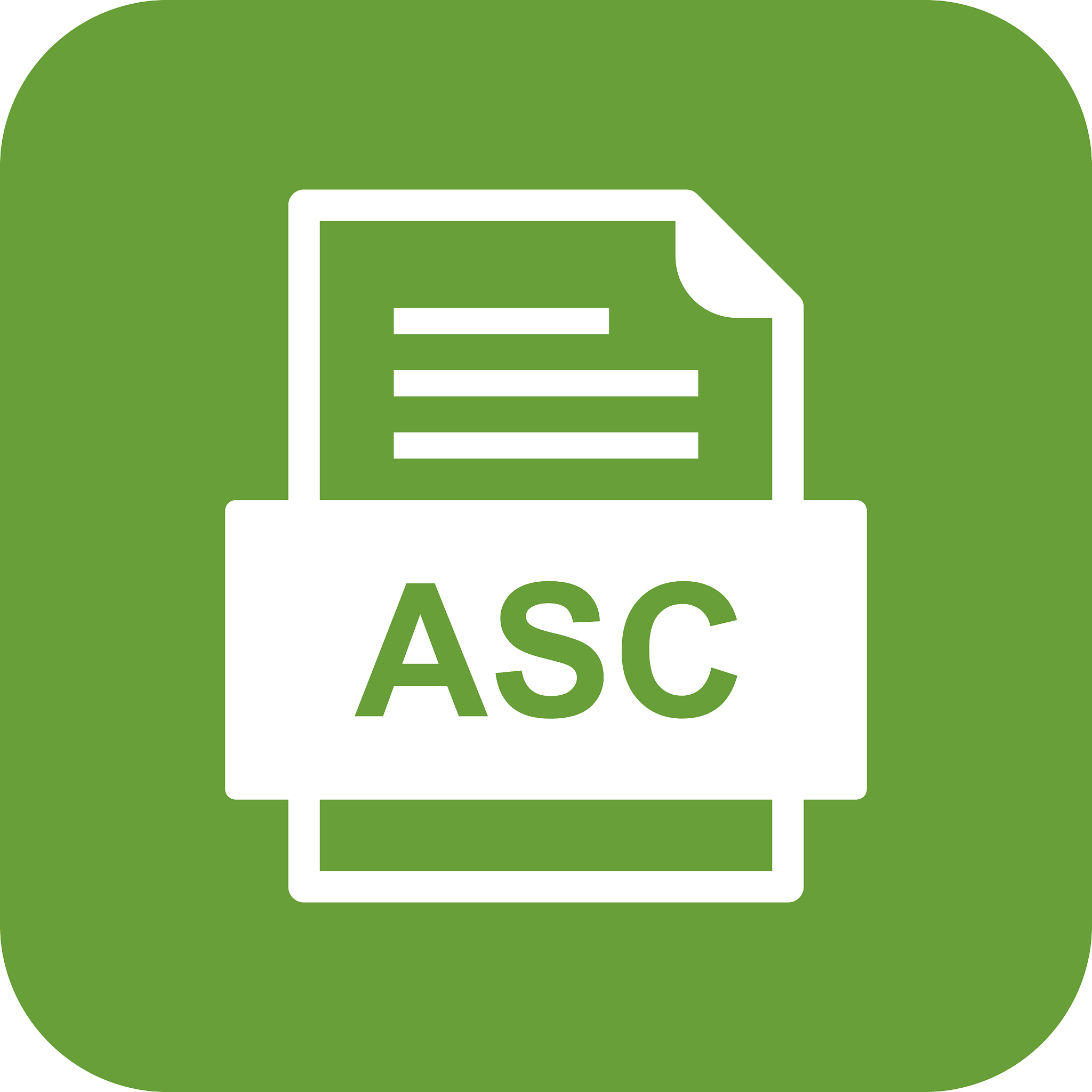 asc file document icon
