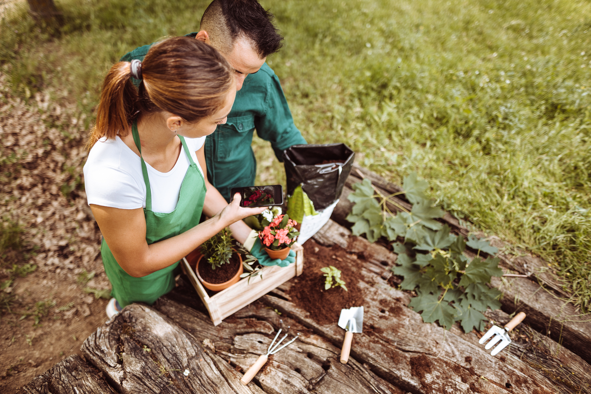 浙江农业商贸职业学院园艺技术专业就业方向 - 未来发展前景广阔