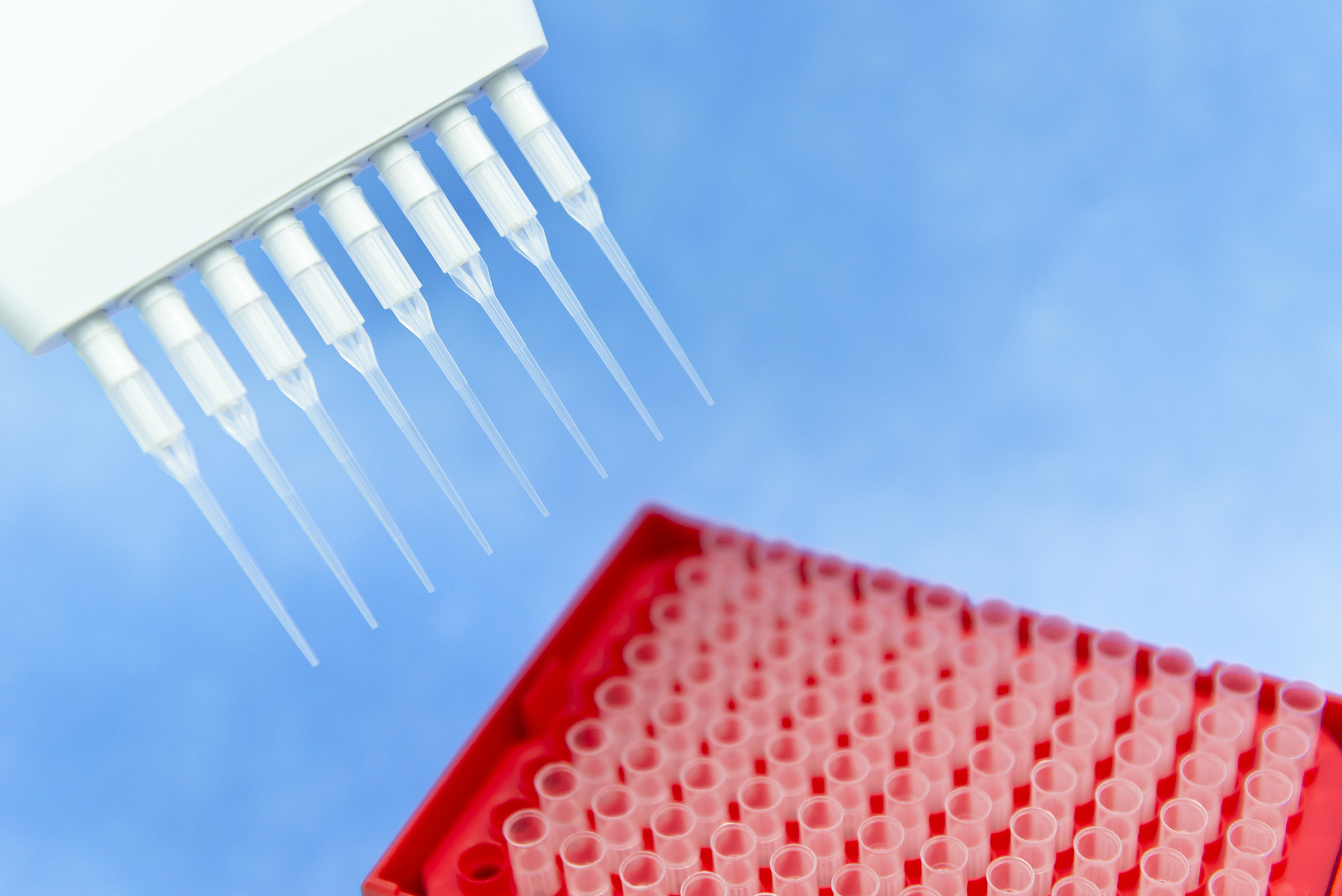manual multichannel pipette and pipette tips for research and ex