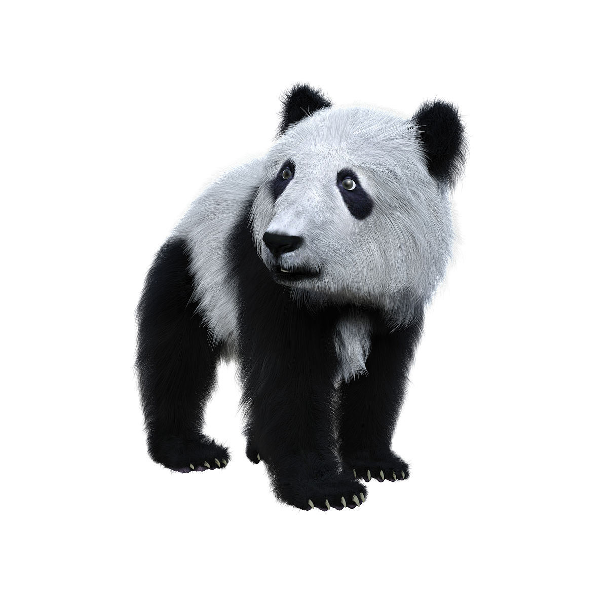 # Import necessary modules# 导入必要的模块from directshowbaseShowBase import ShowBase # 导入ShowBase类from panda3dcore import WindowProperties # 导入WindowProperties类from directshowbaseShowBase import ShowBase