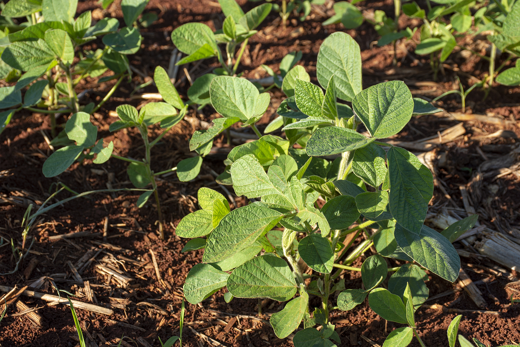 营口市农业工程学校2022年咨询电话多少？