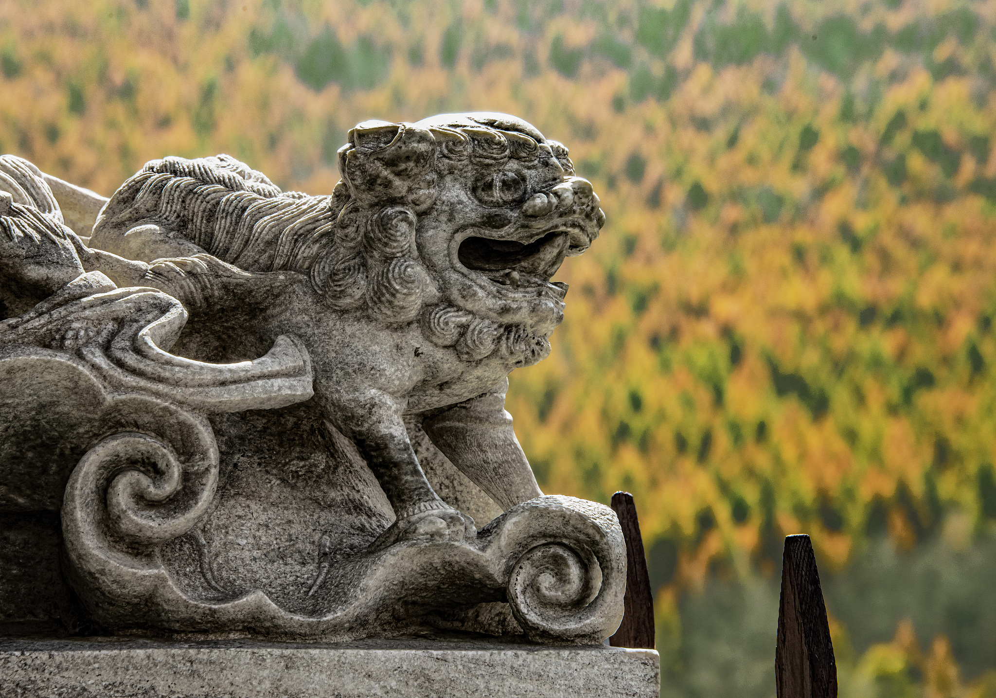 出世是什么意思？词语'出世'的含义和解析