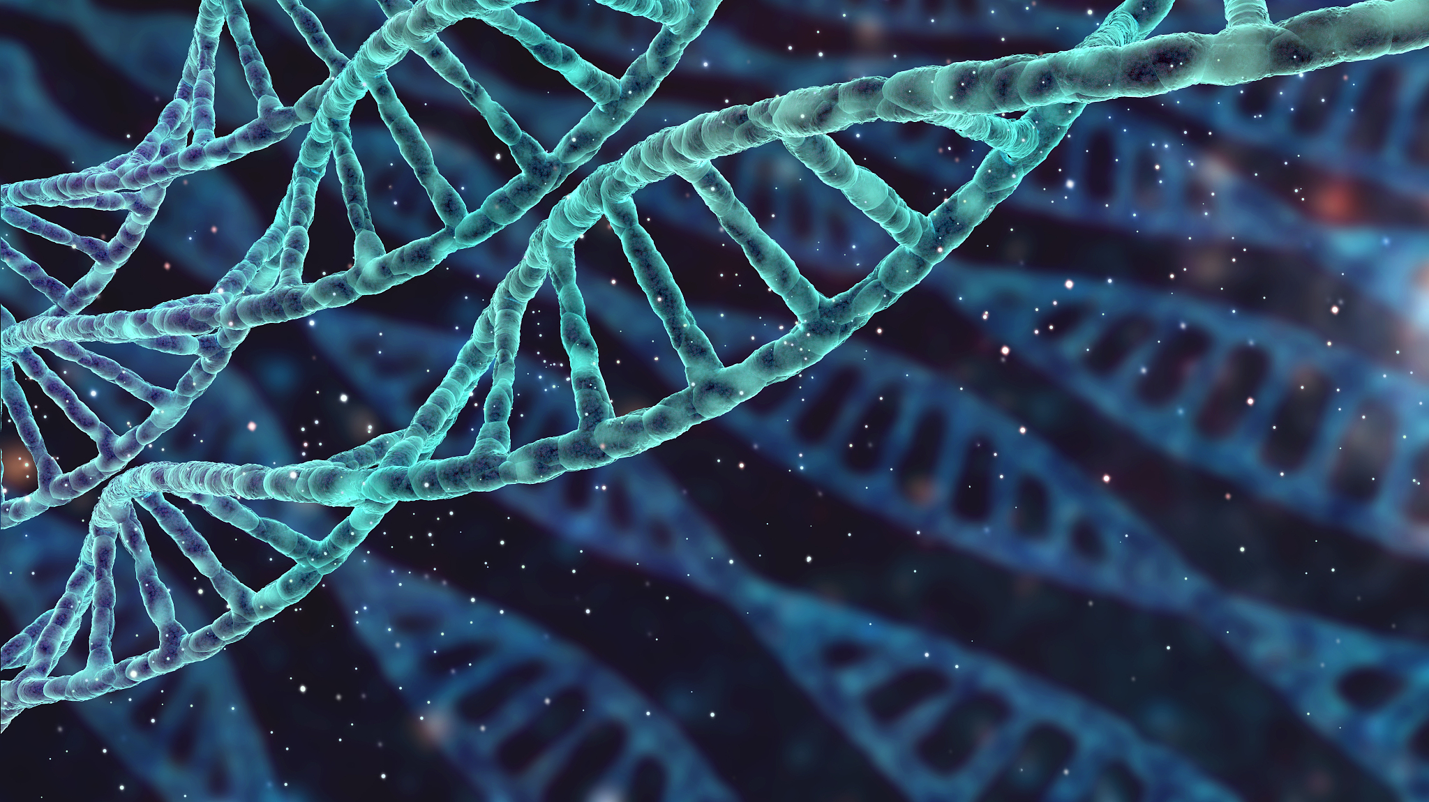 质粒DNA提取实验的注意事项