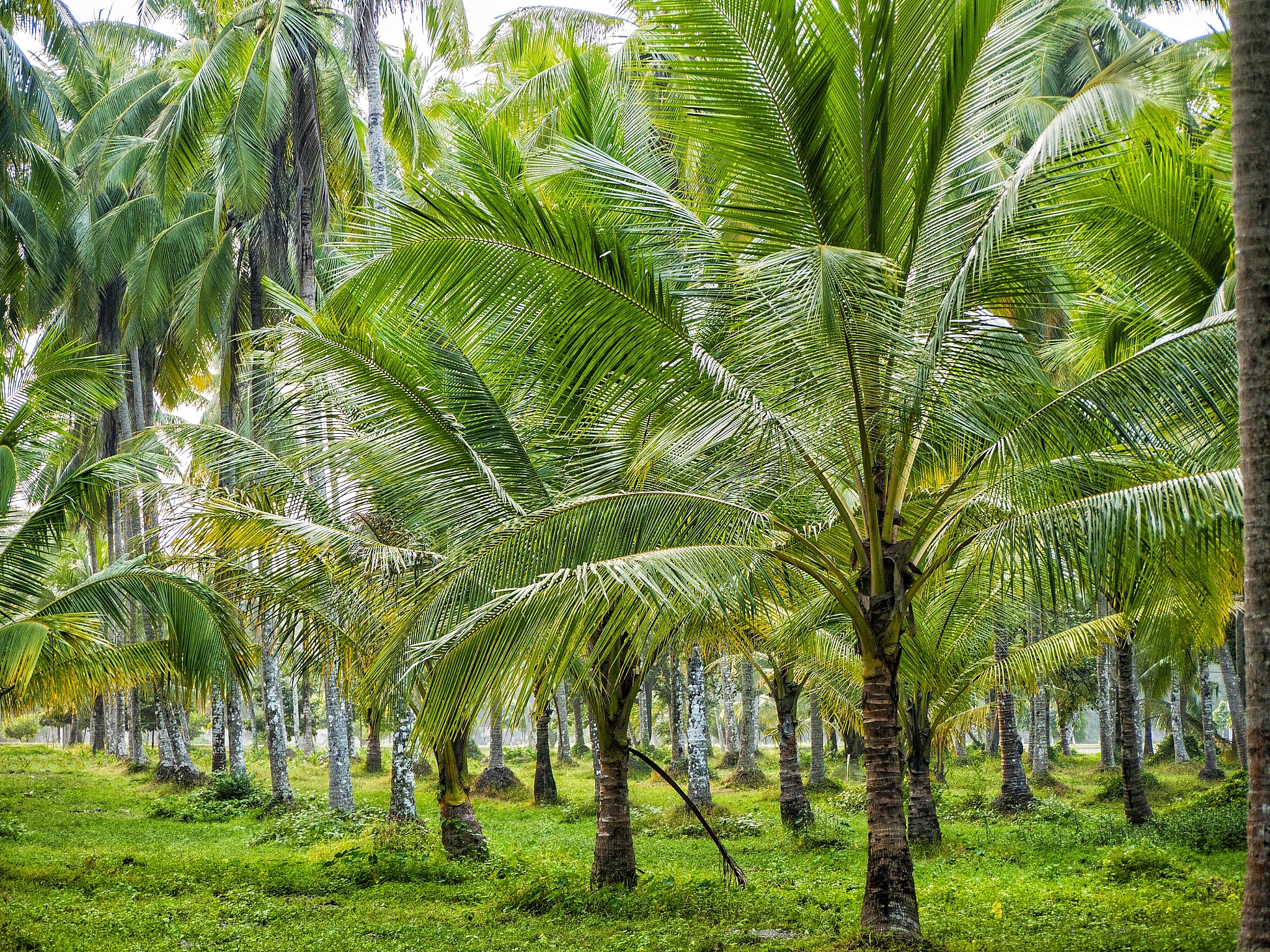 辽宁省农业技术学校园林系专业介绍